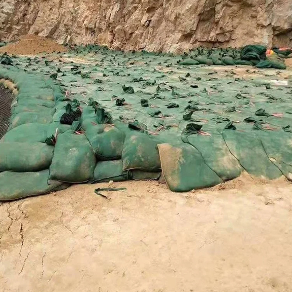 Polypropylene Nonwoven Geotextile Geo Sand Bag/Geobag with Best Price