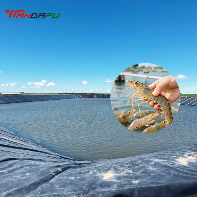 How Geomembrane Liners Prevent Leakage in Landfills & Water Storage Projects