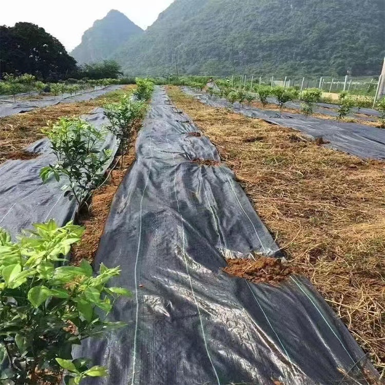 Control temperature humidity Anti grass cloth