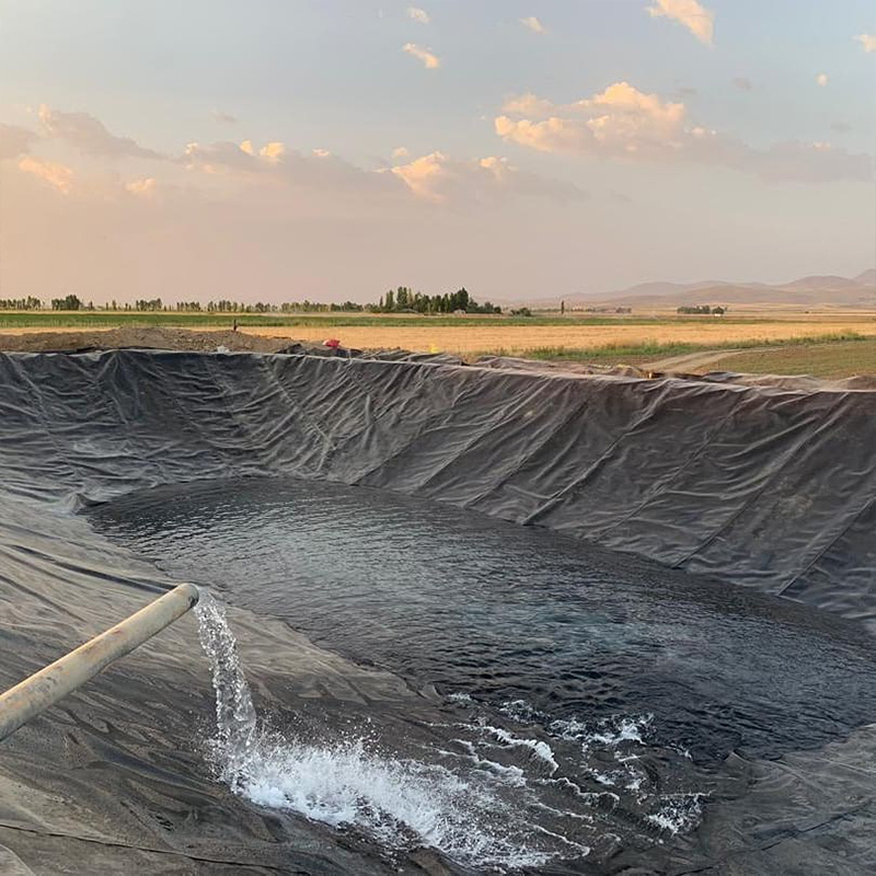 HDPE vs PVC Geomembrane: Which is Best for Your Project?