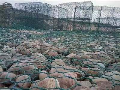 Plastic-wrapped gabion net