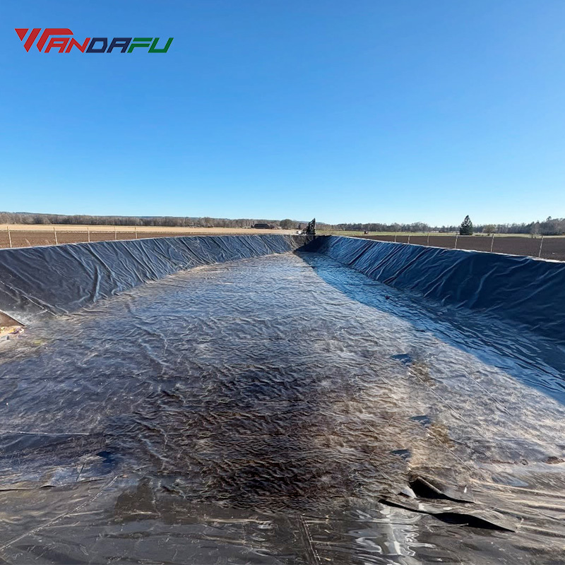 Why 70% of  African Engineering Companies Choose Our Geomembrane Solutions？