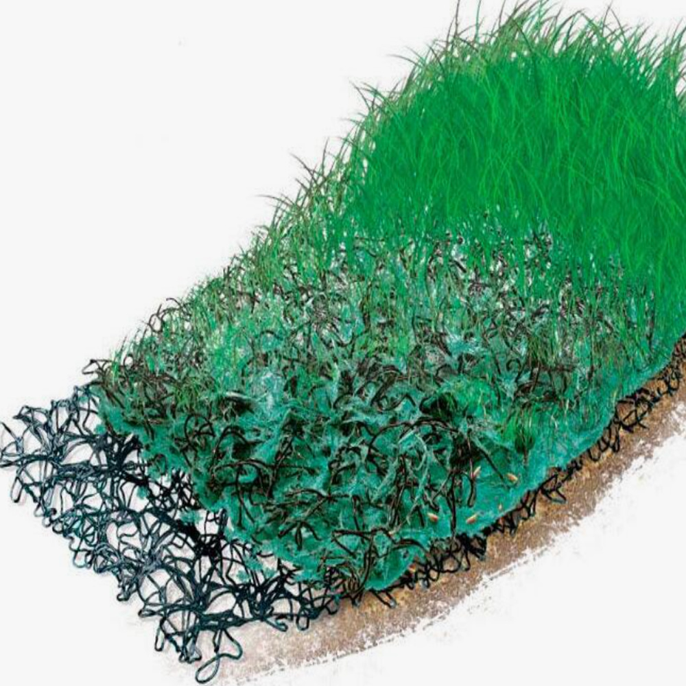 Ecological restoration of lakes Three Dimensional Geomat