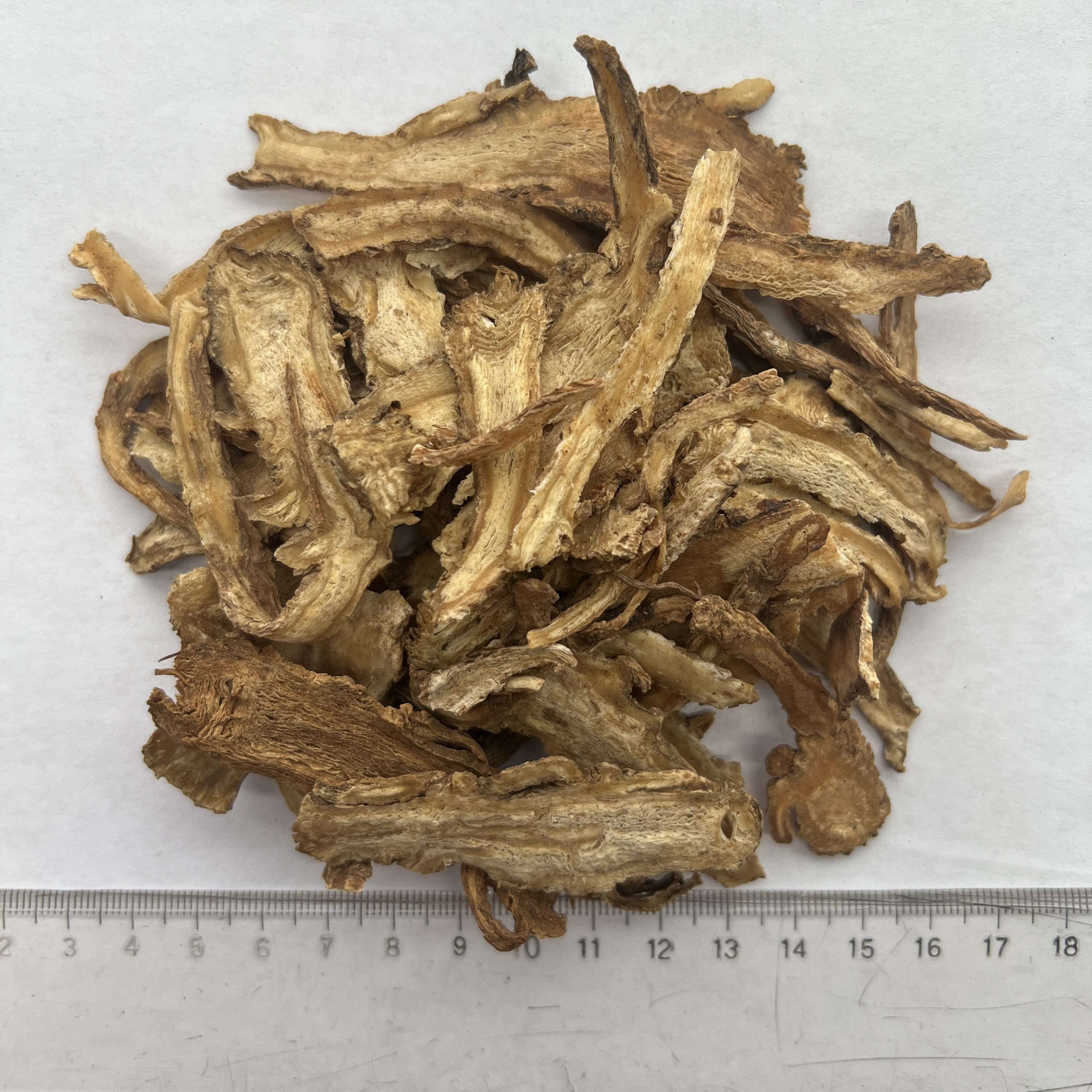 Angelica Sinensis