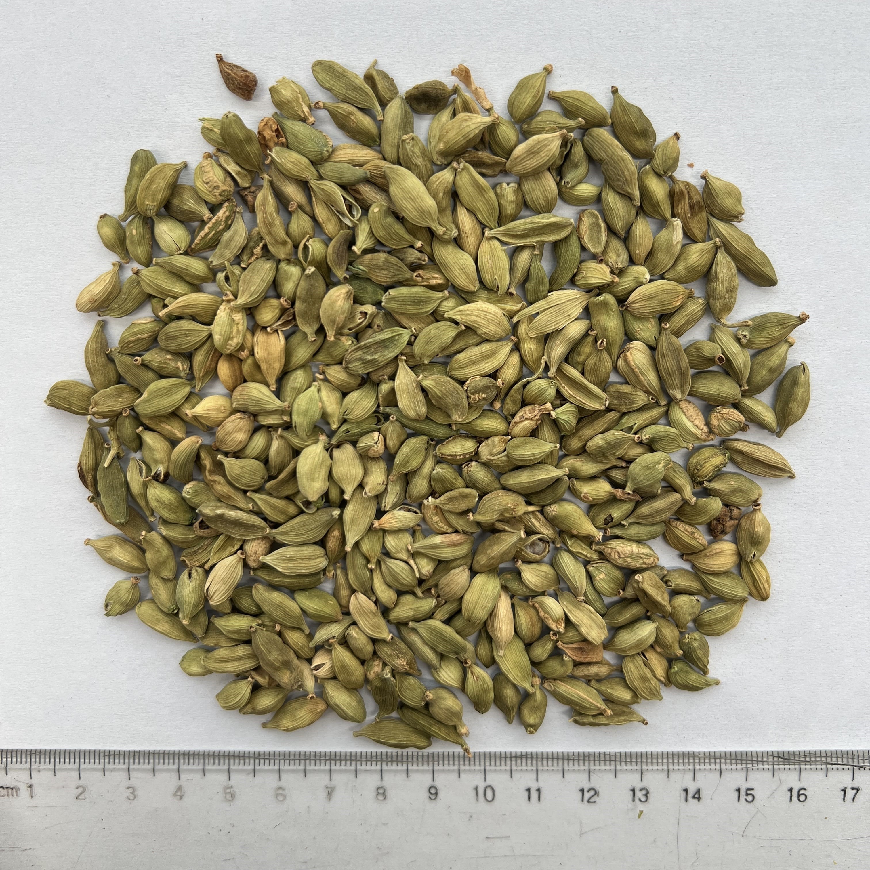 Green Cardamom