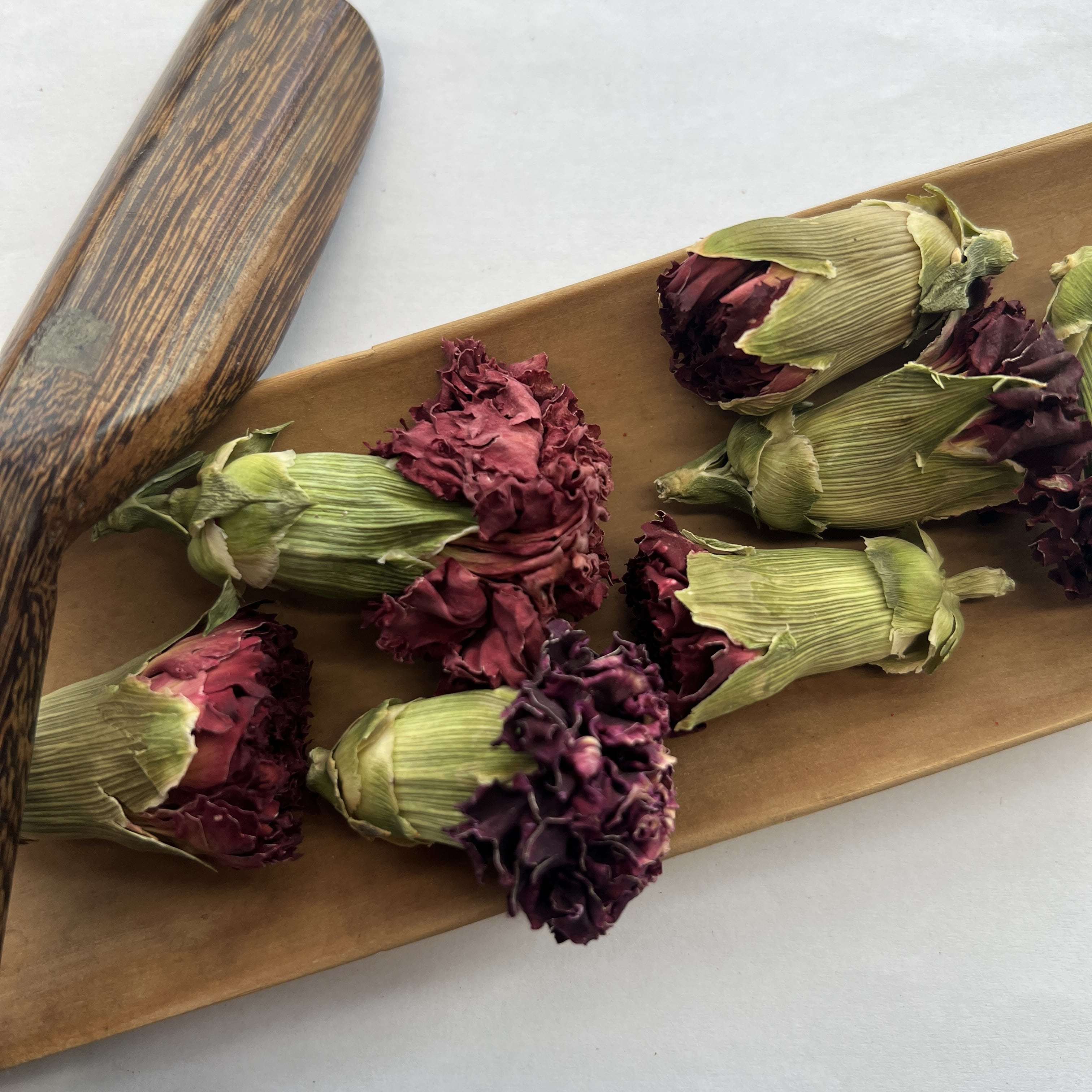 Carnation