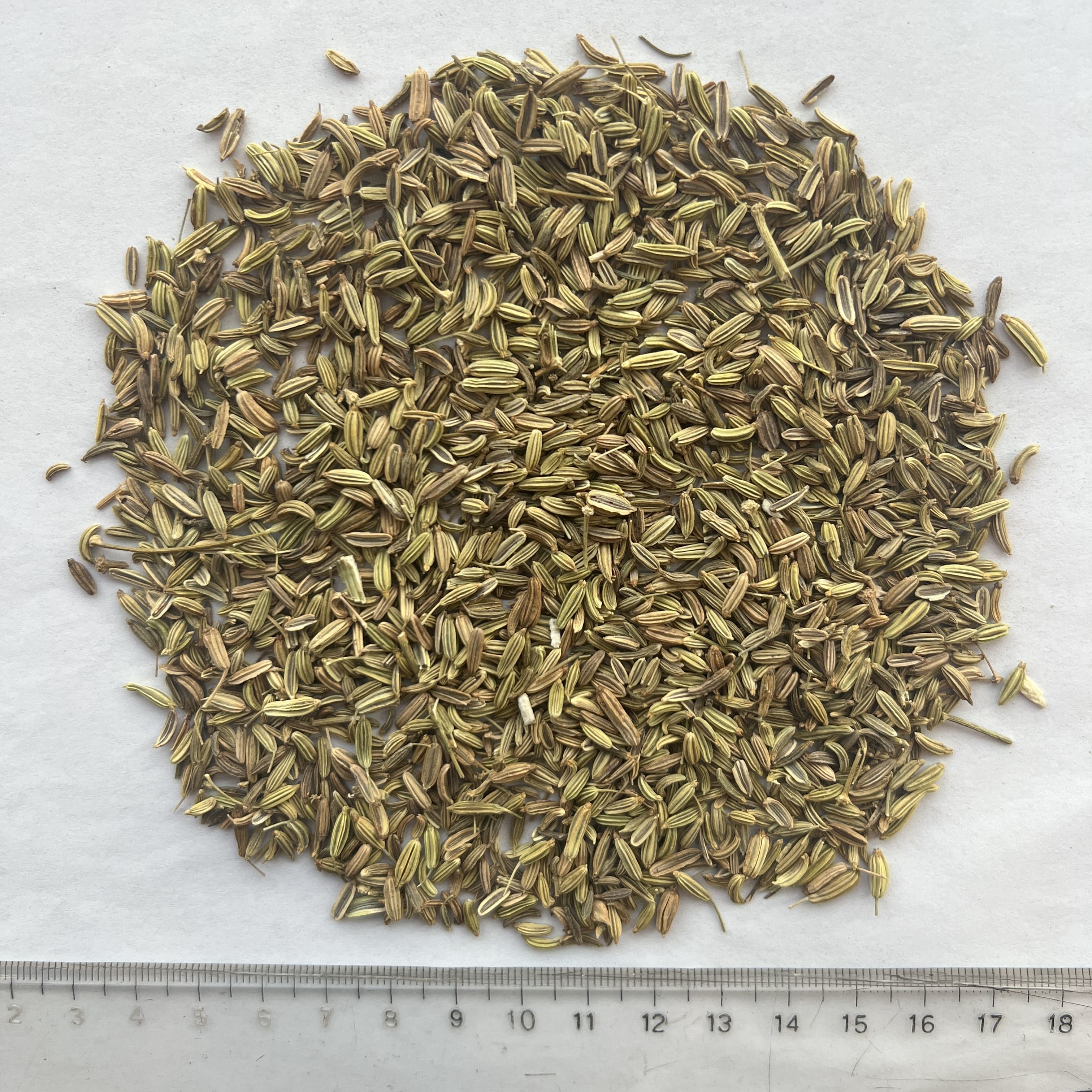 Fennel Seeds