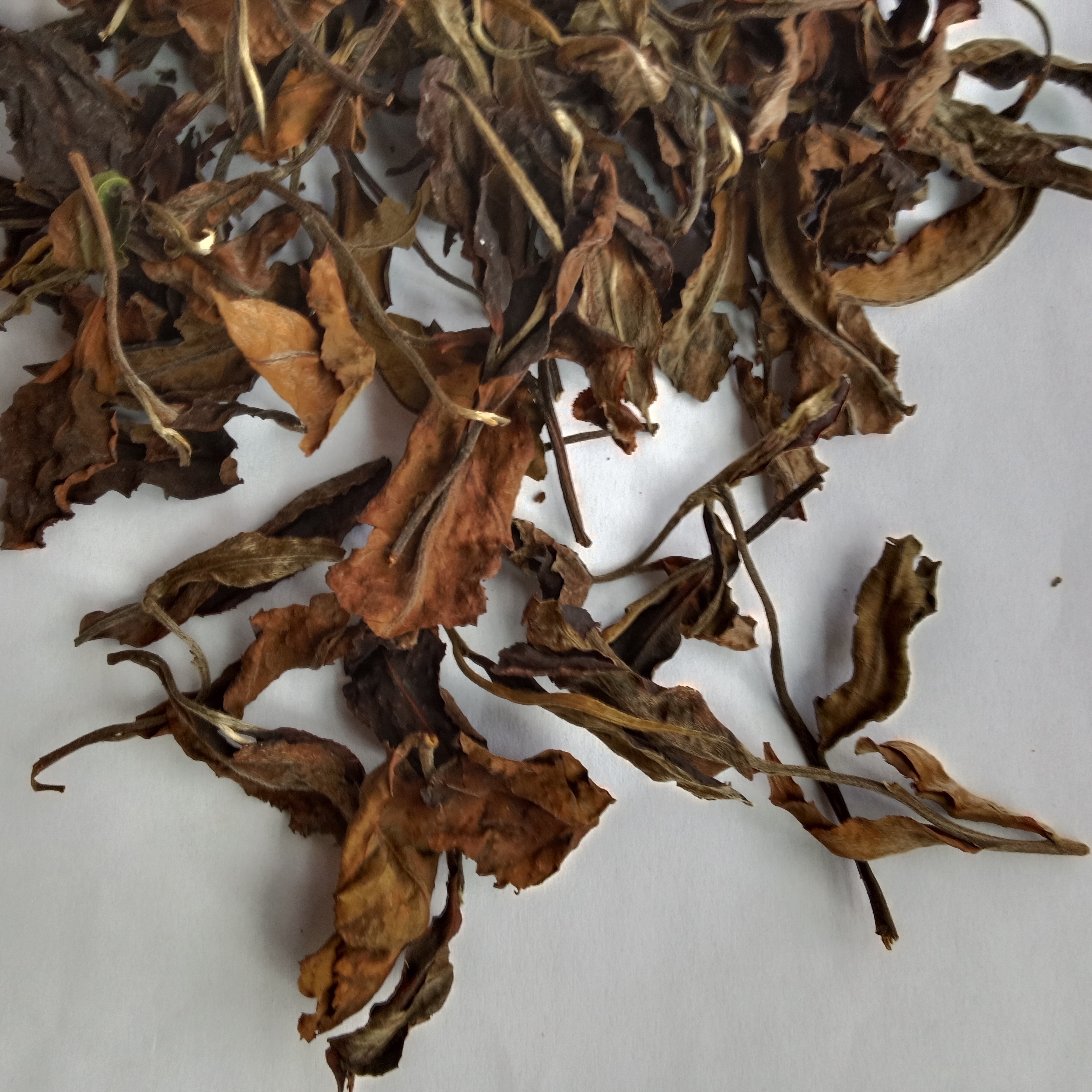 GABA White Tea