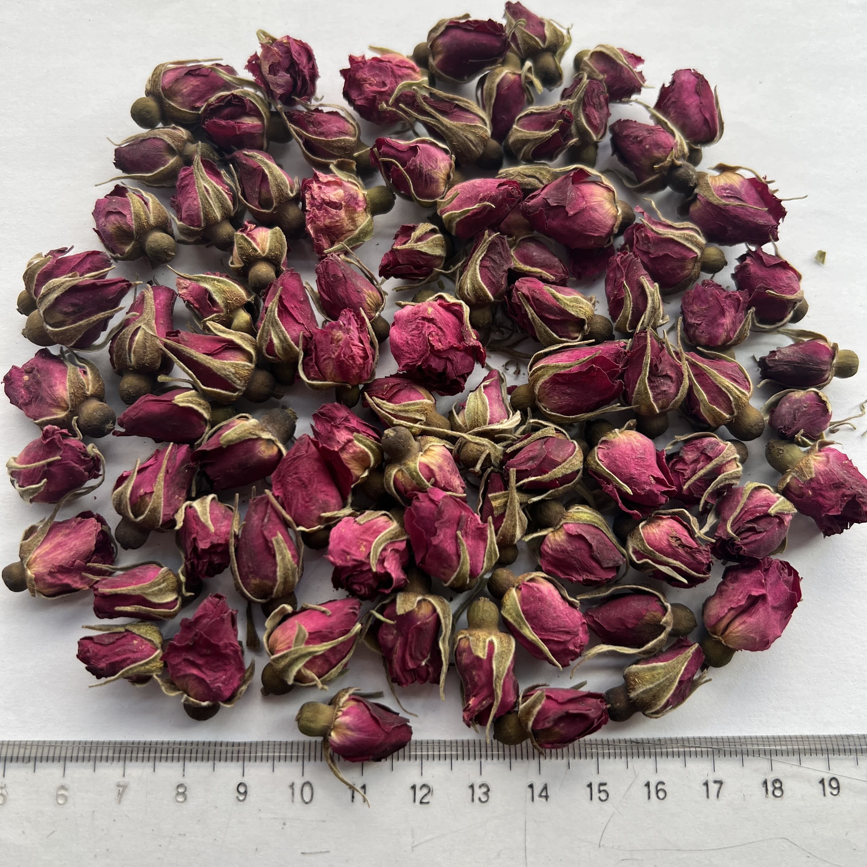 Lanzhou Rose