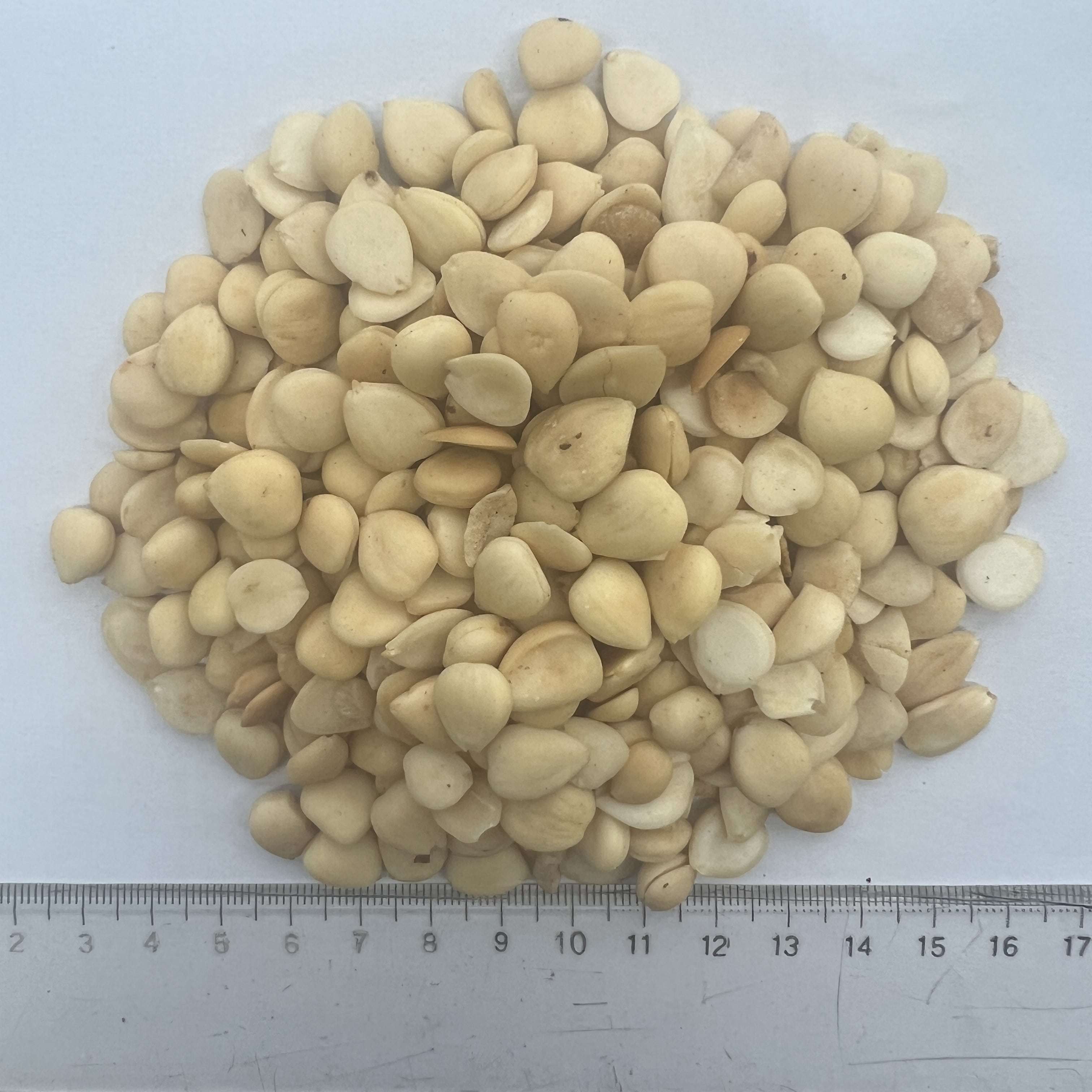 Almond