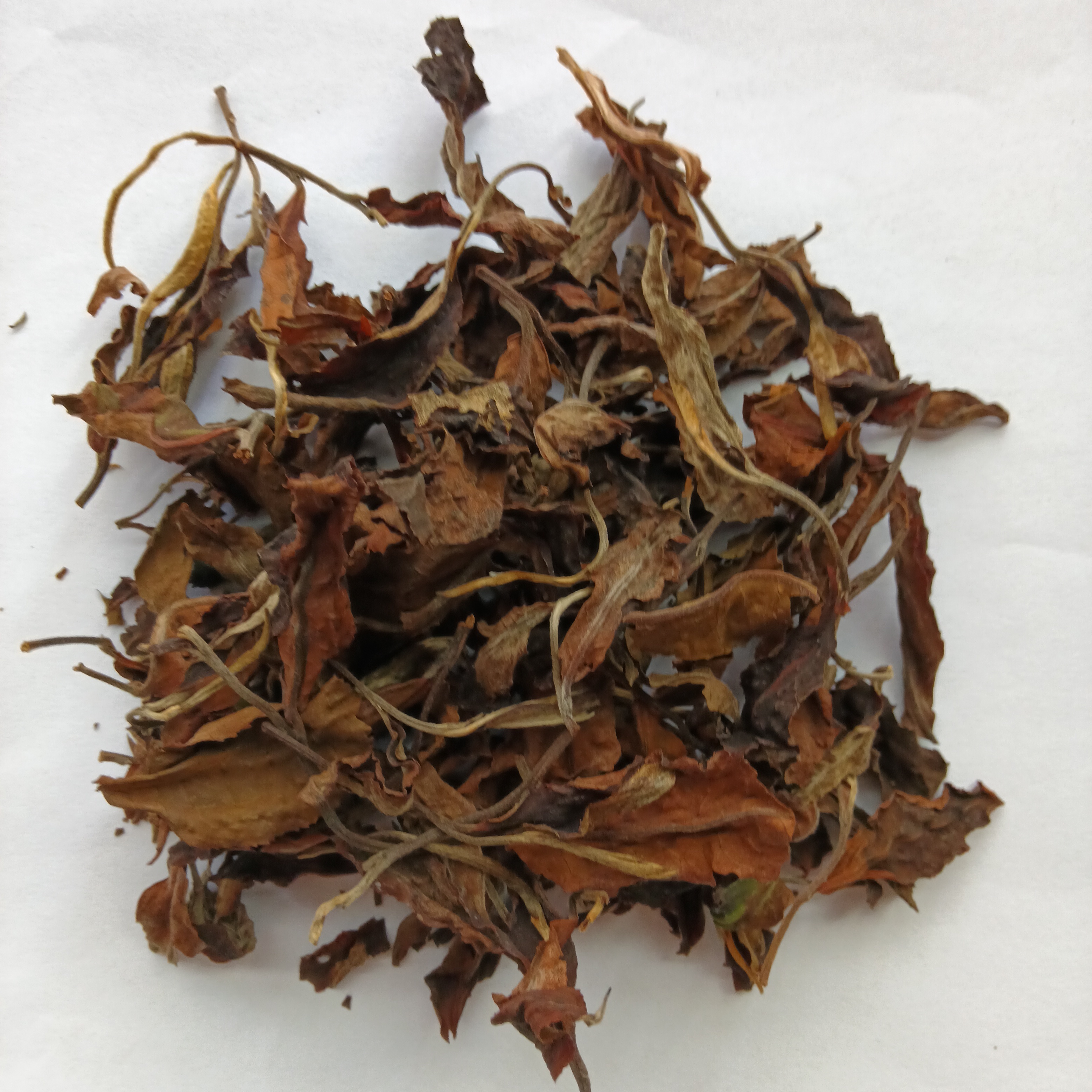 GABA White Tea