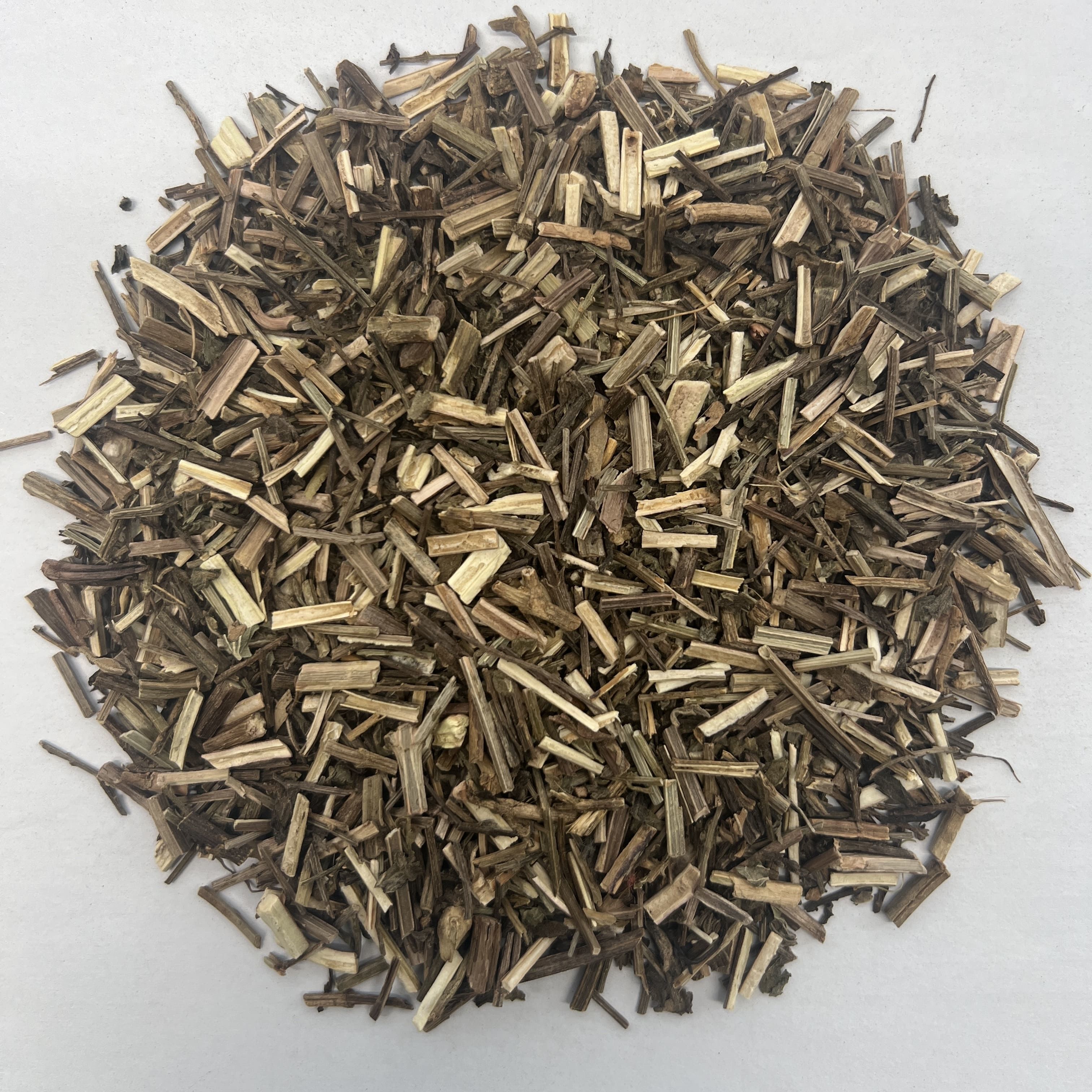 Verbena
