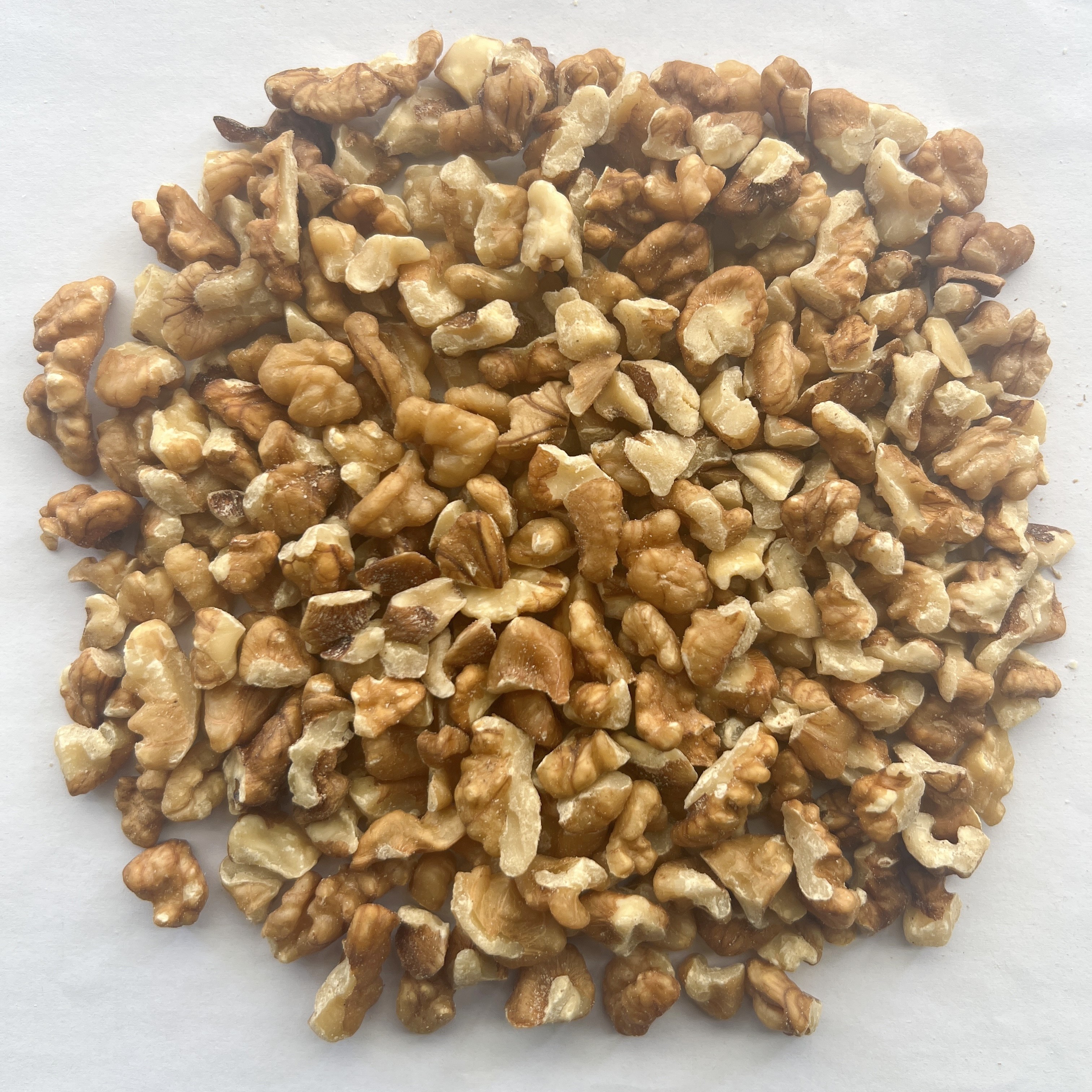 Walnut