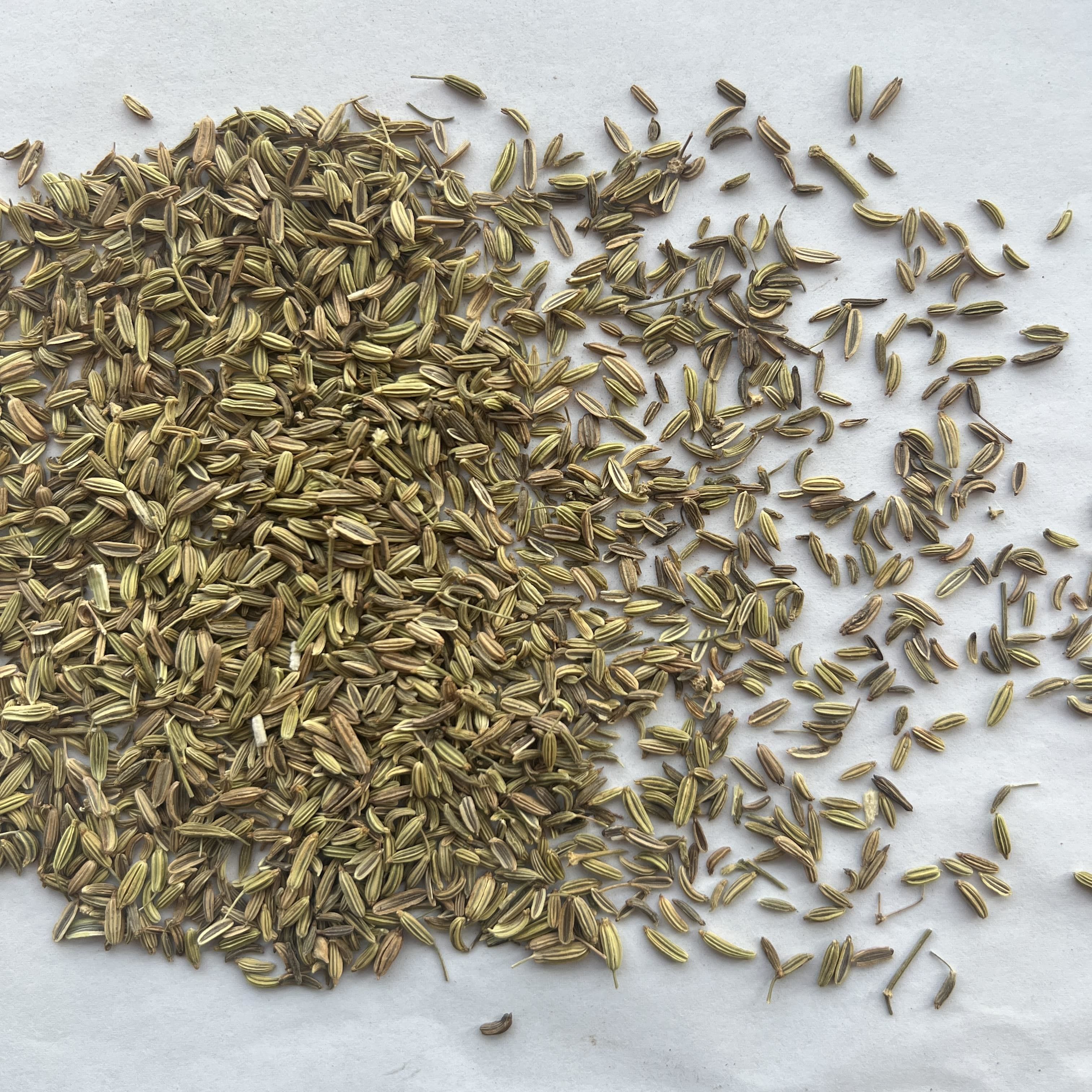 Fennel Seeds