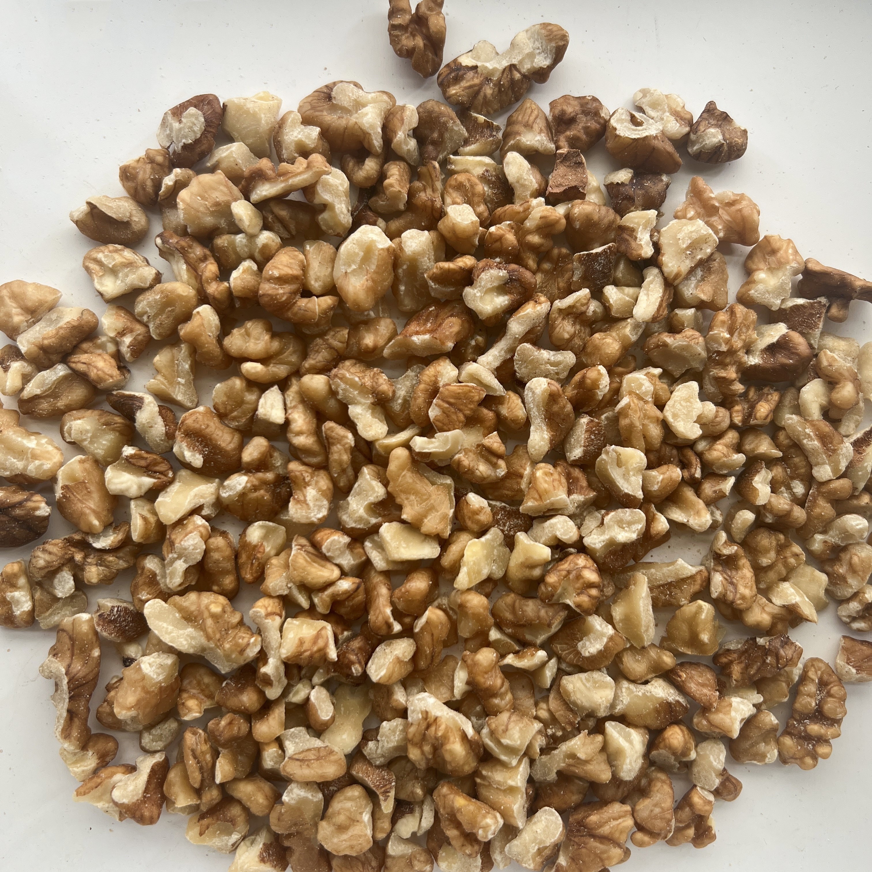 Walnut