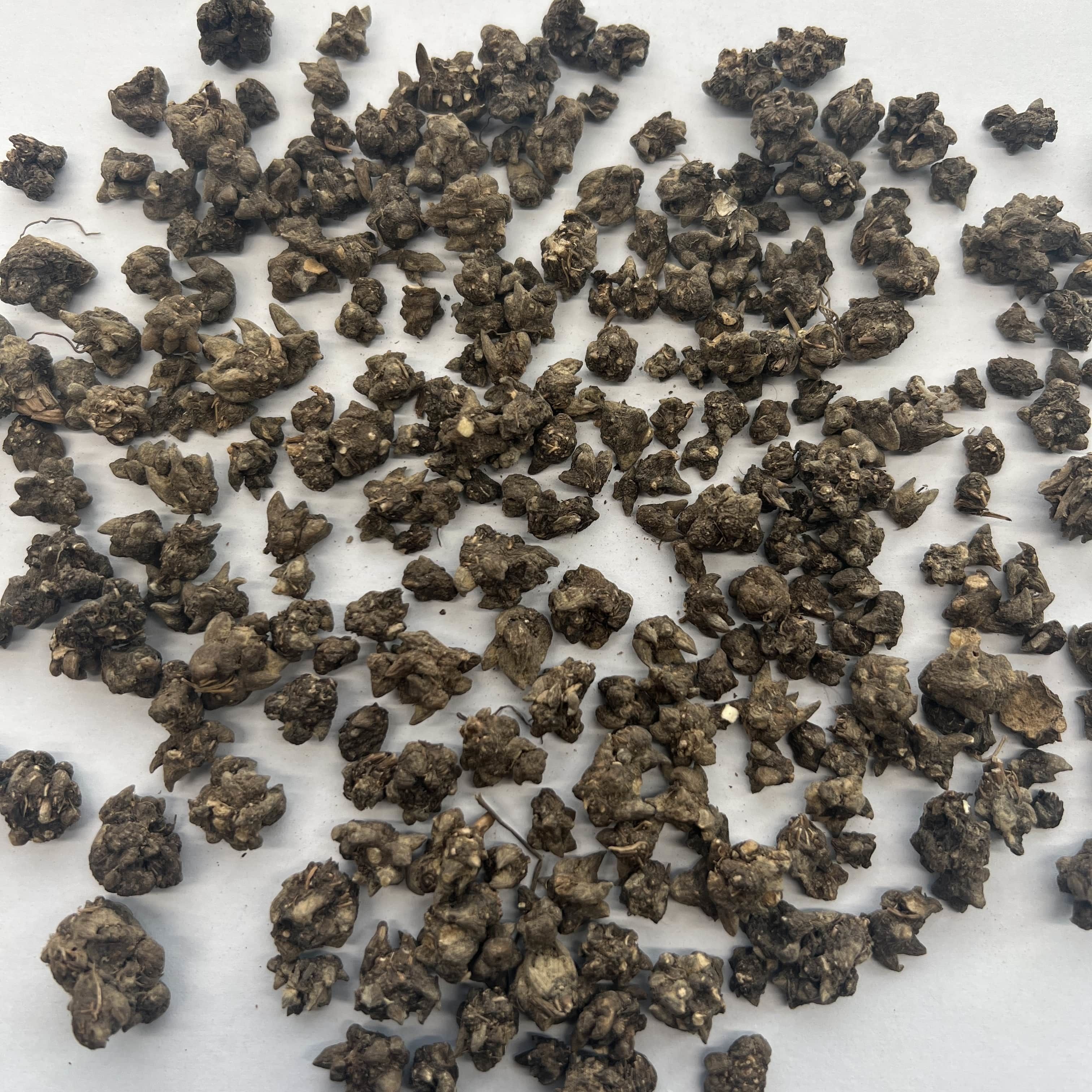 Cat Claw Root