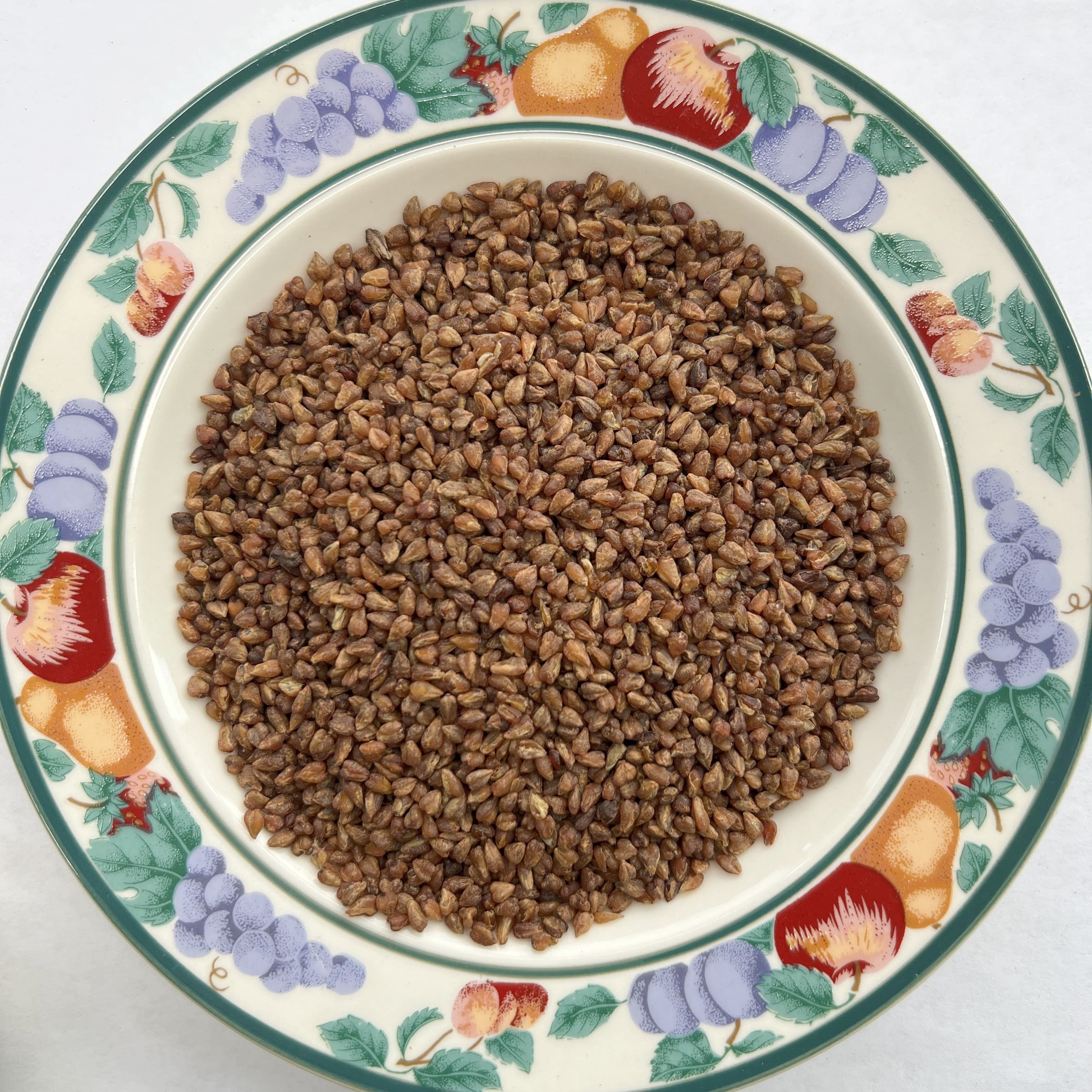 Black Buckwheat