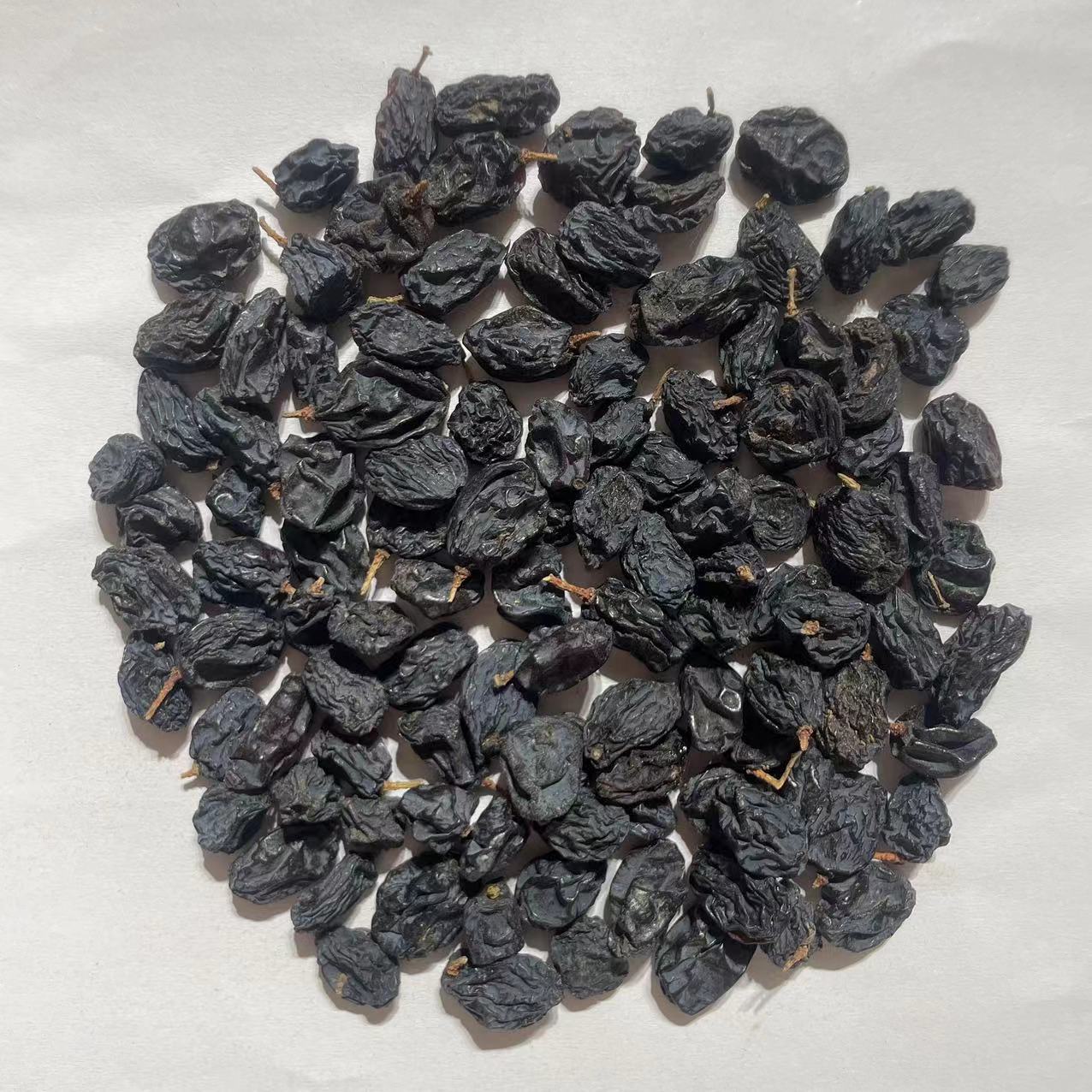 Black Currant