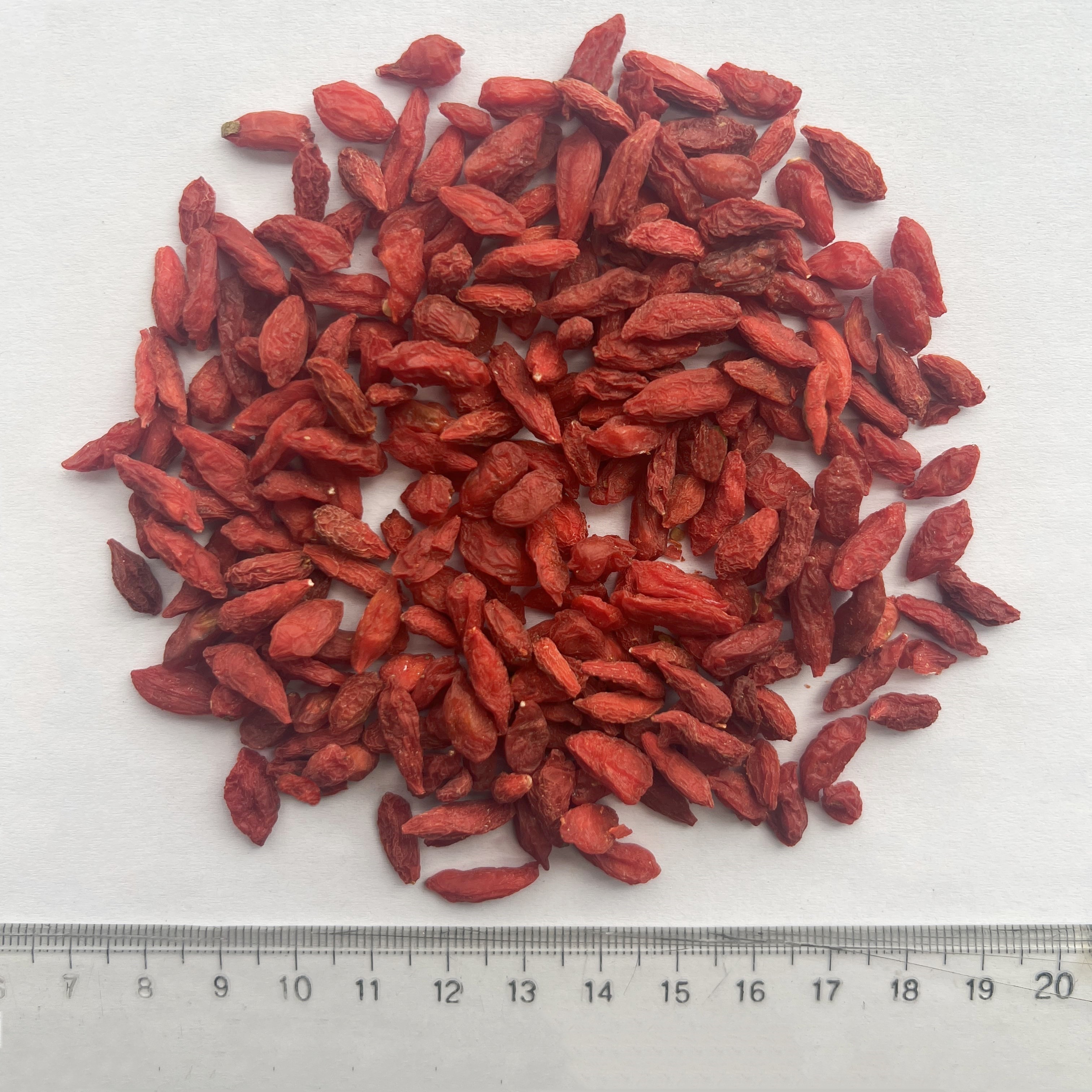 Goji Berry
