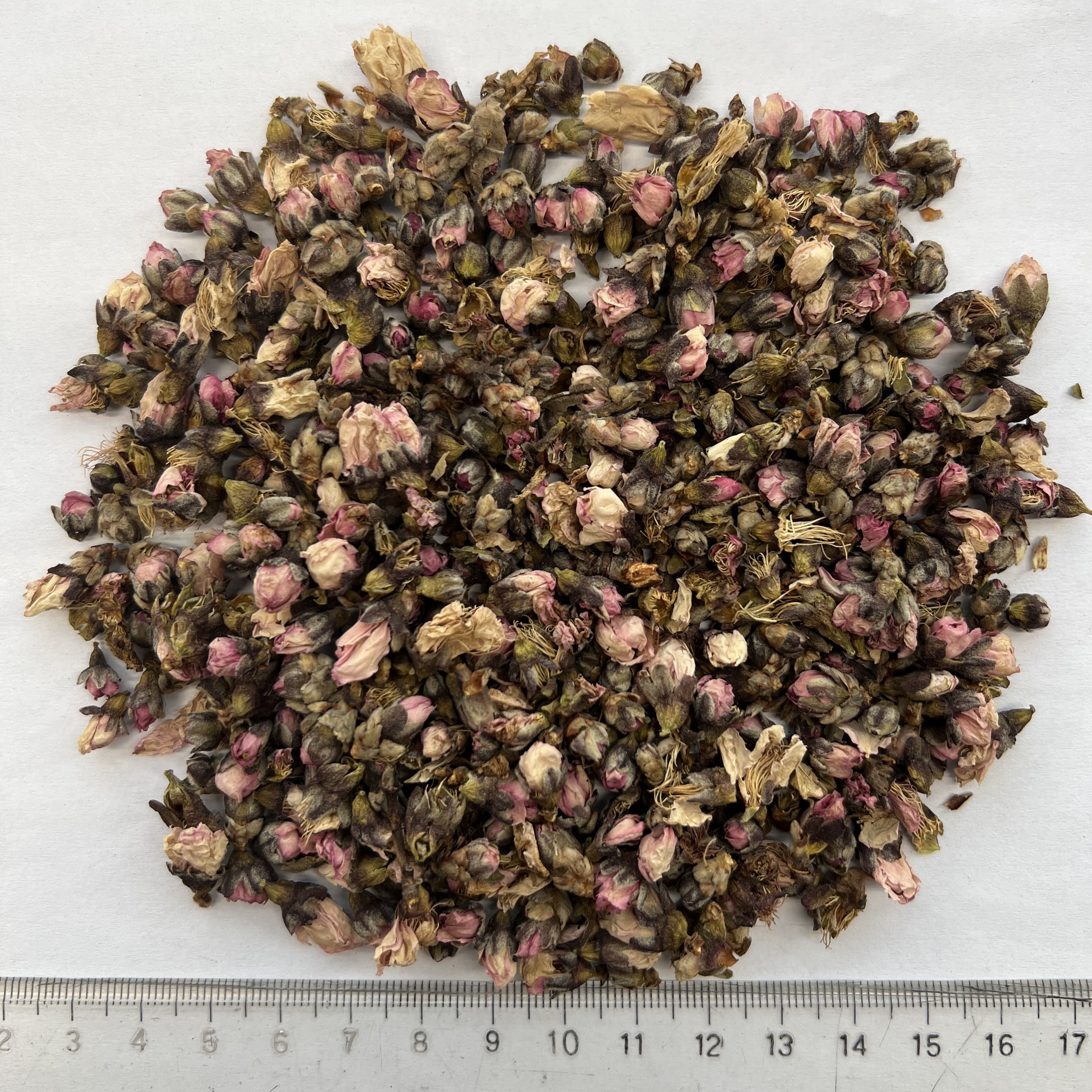 Peach Blossom