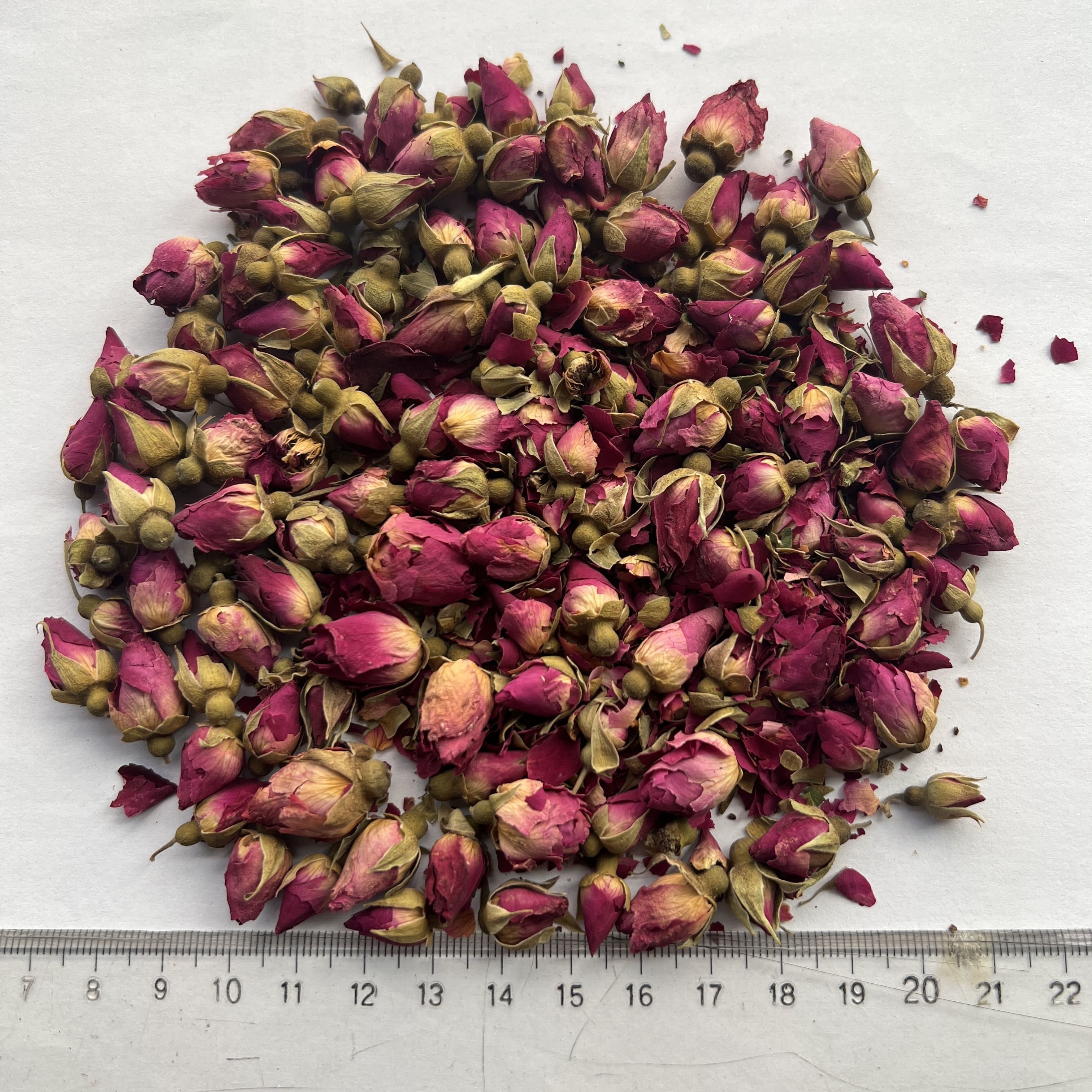 Shandong Rose