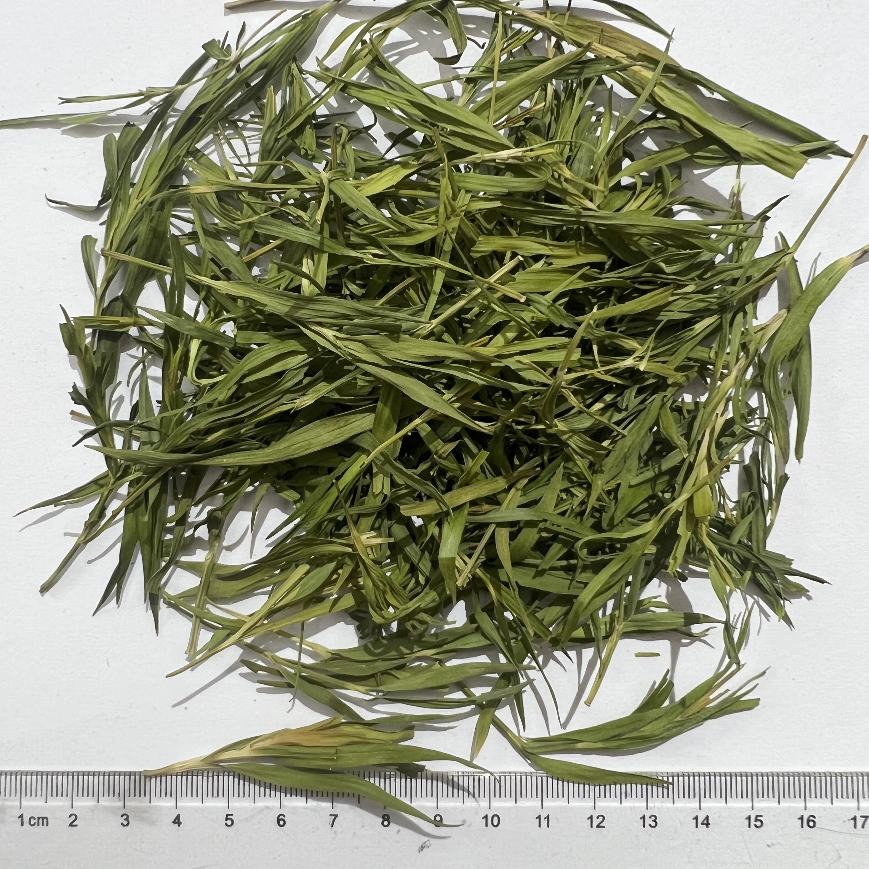Bamboo Leaf