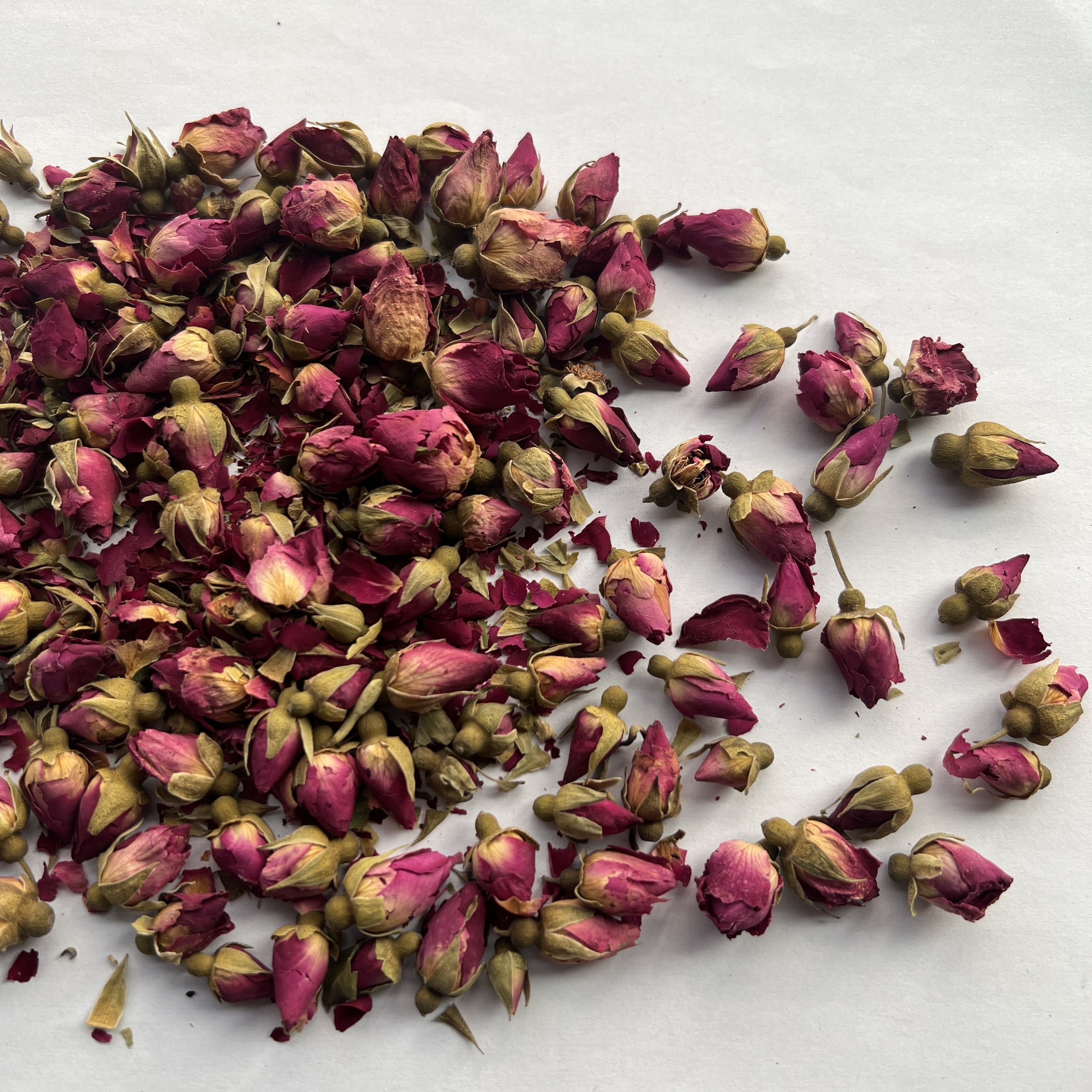 Shandong Rose