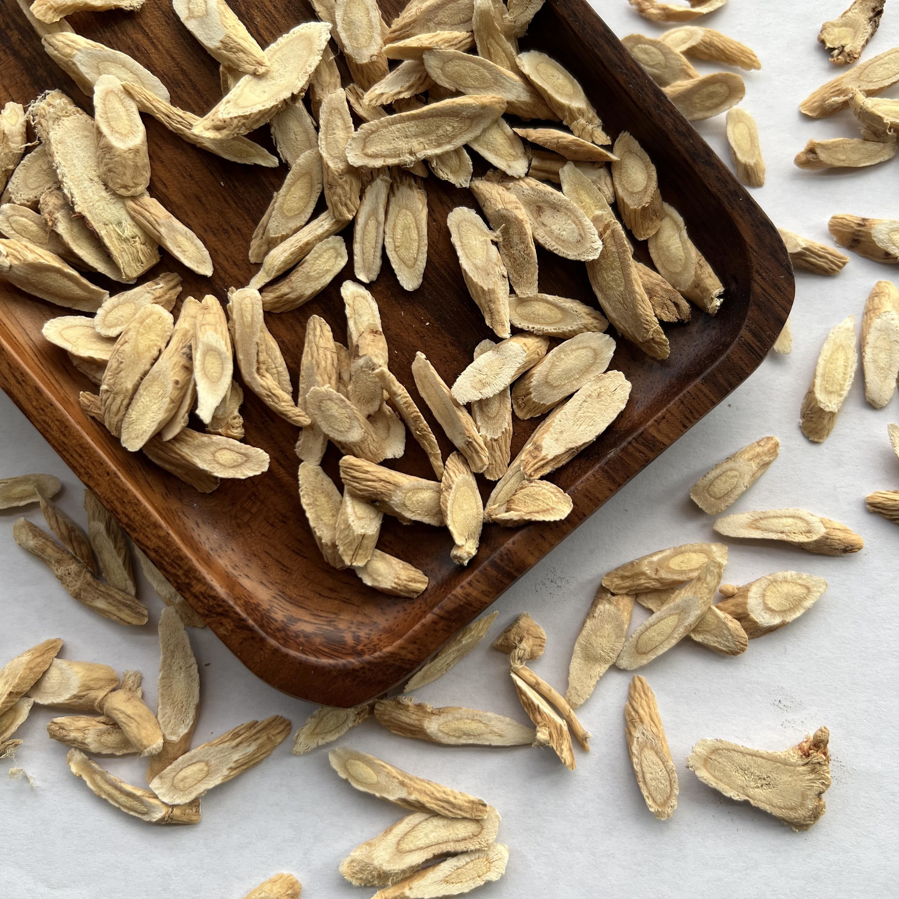 Astragalus