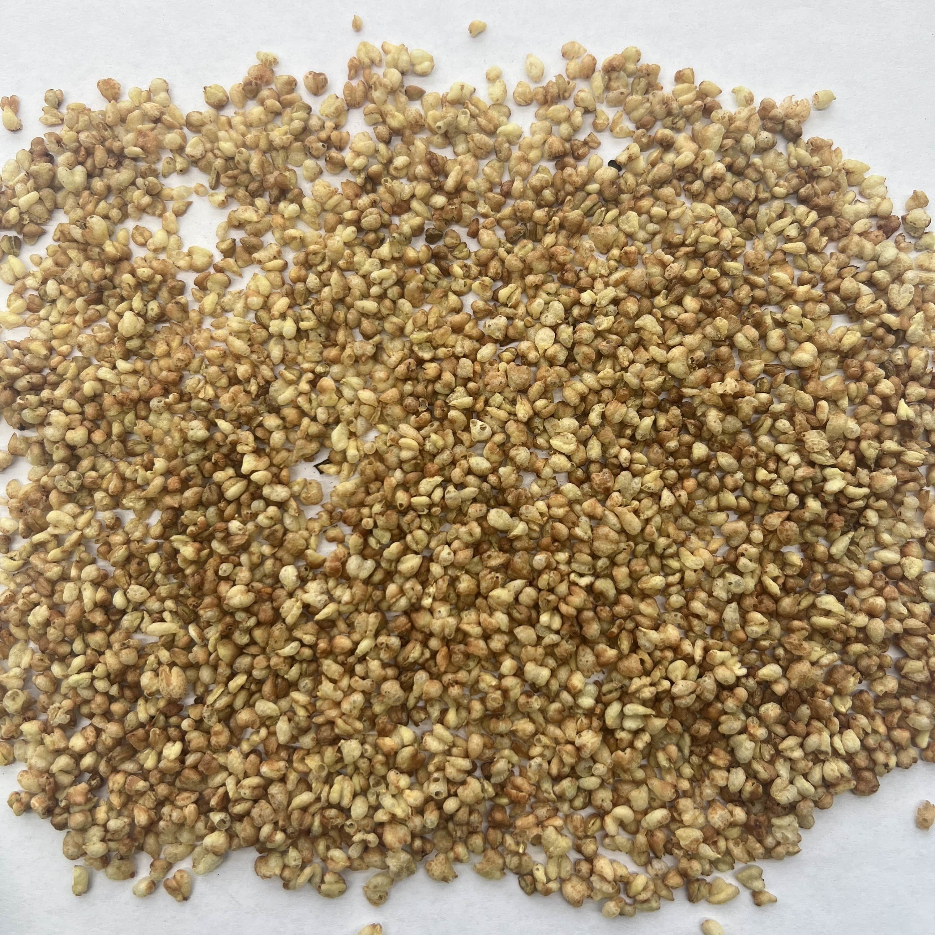 Yellow Buckwheat