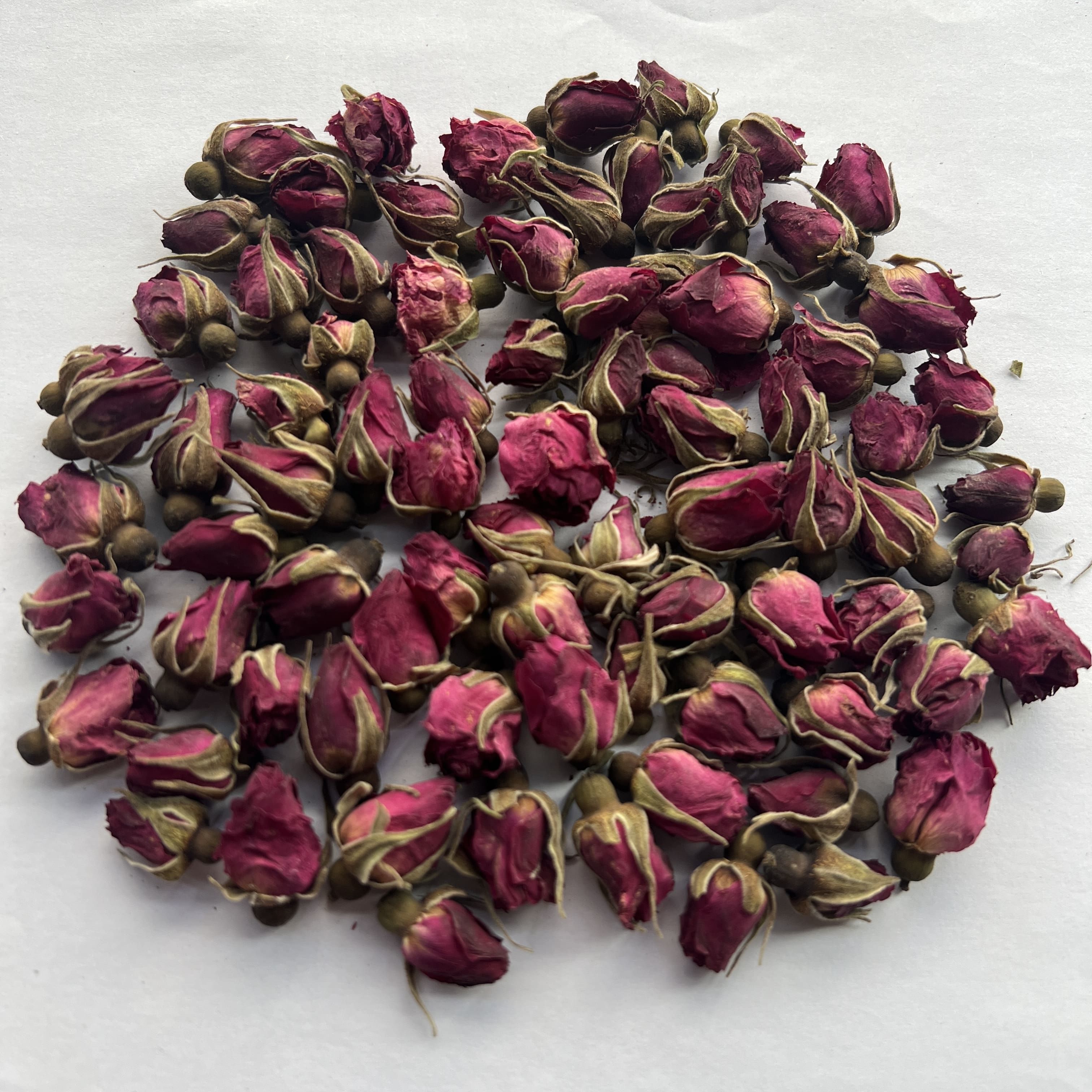 Lanzhou Rose