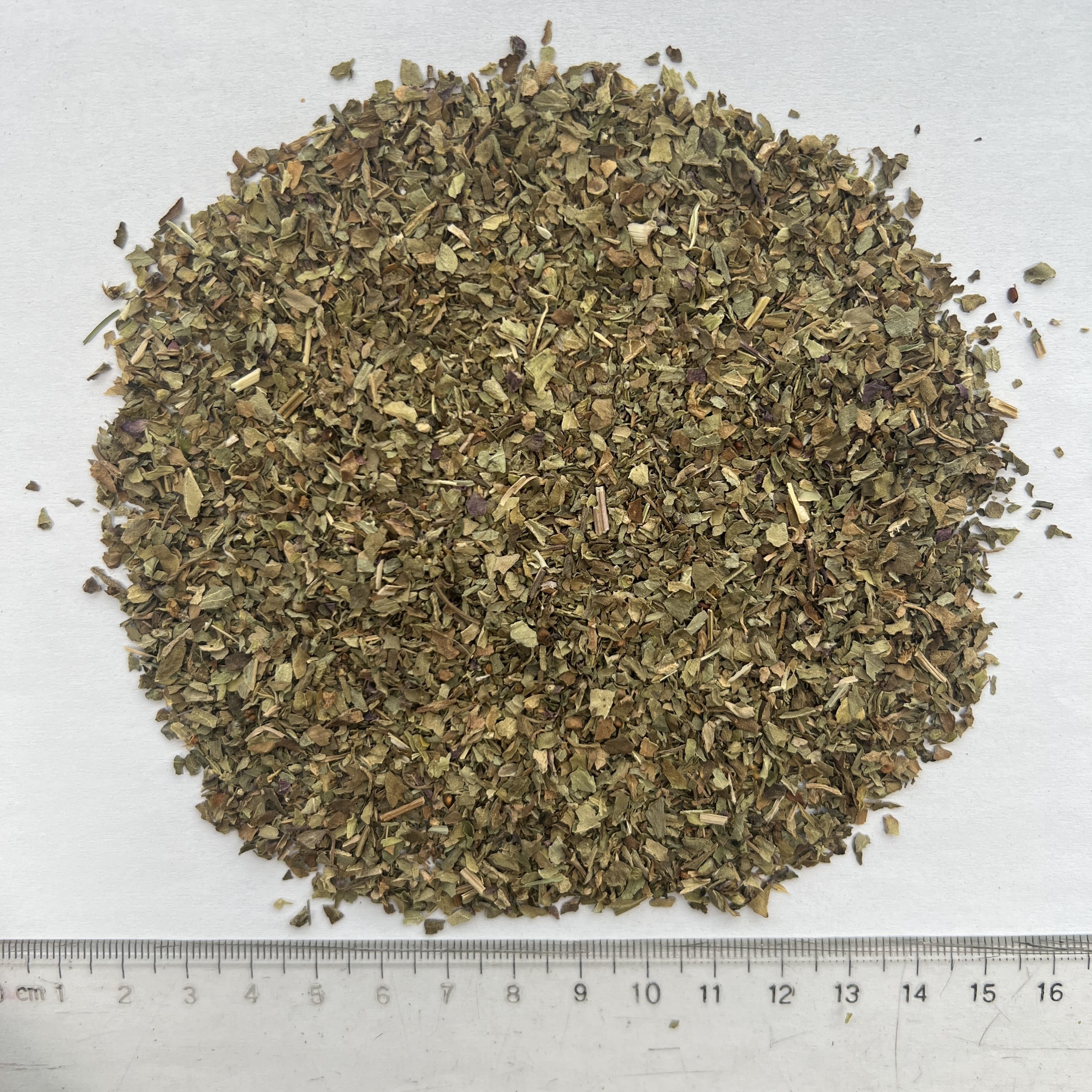 Basil Basil