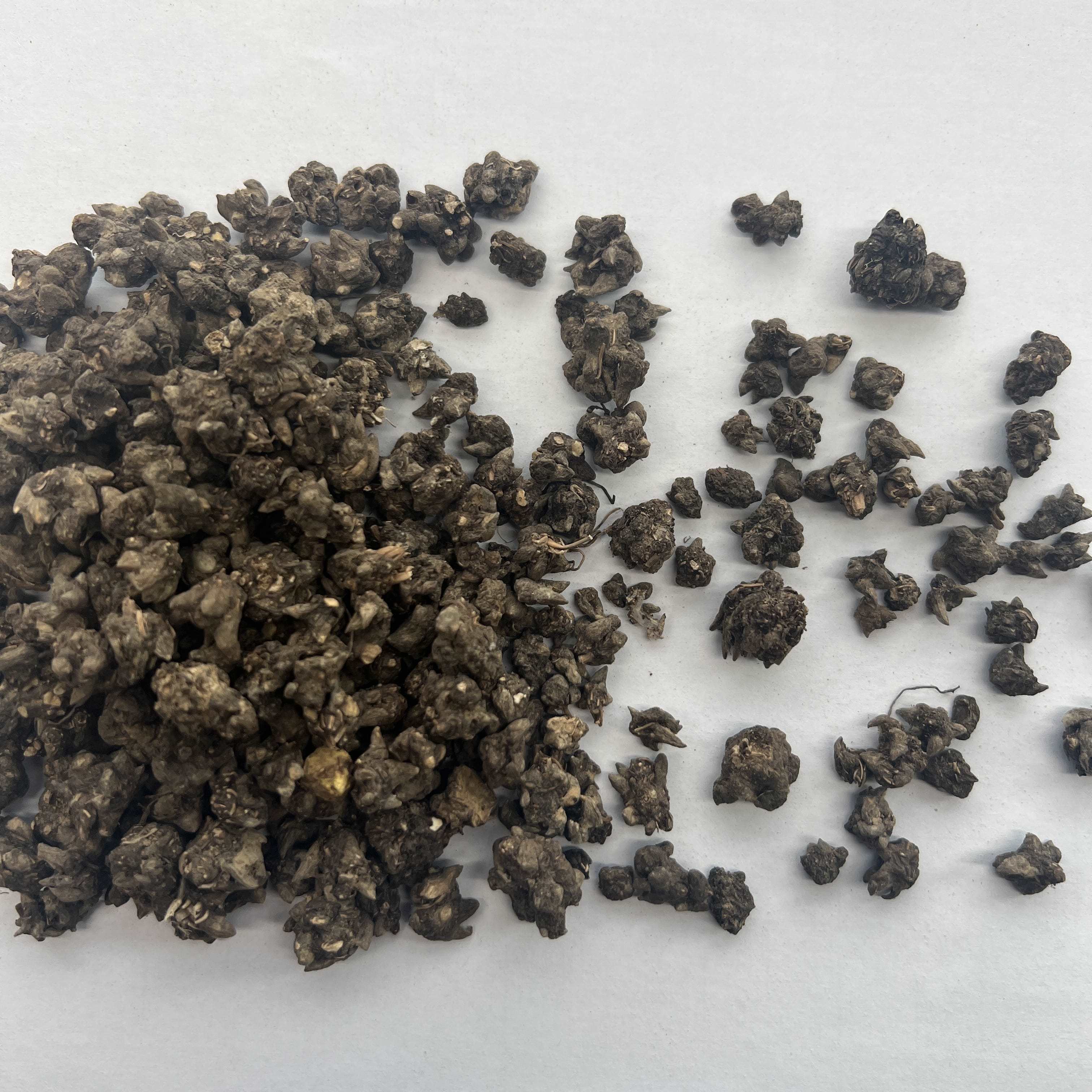 Cat Claw Root
