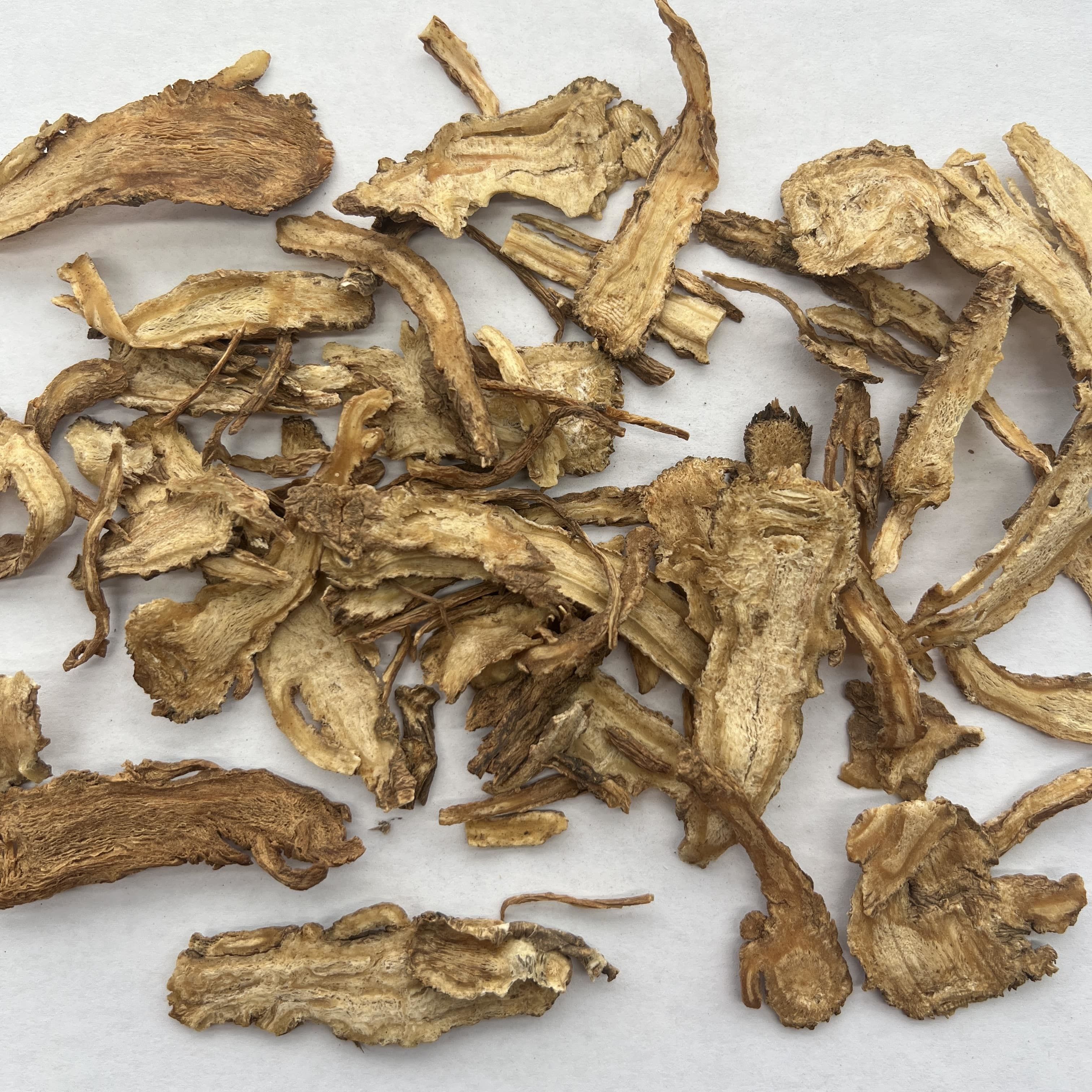 Angelica Sinensis
