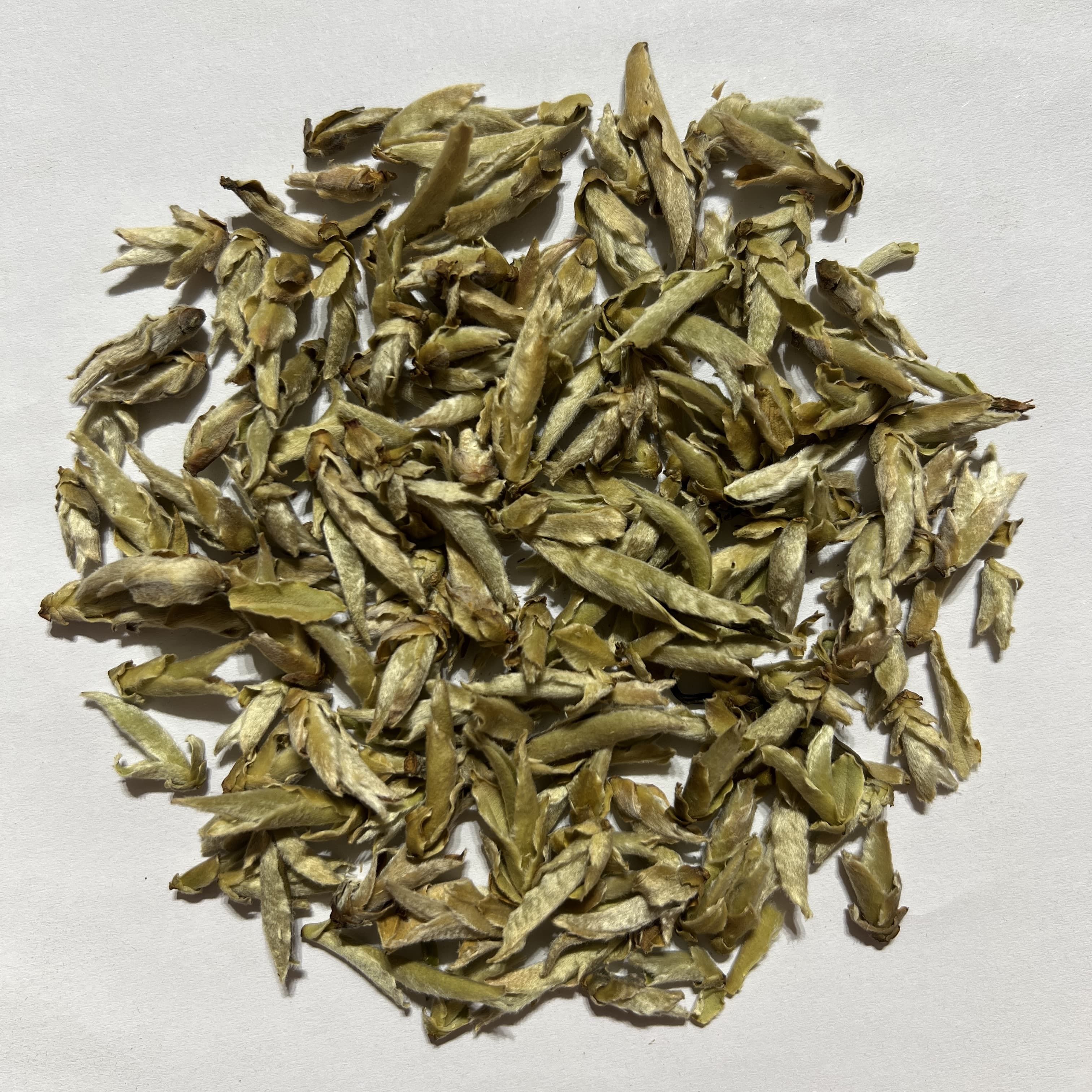 Wild Tea Buds