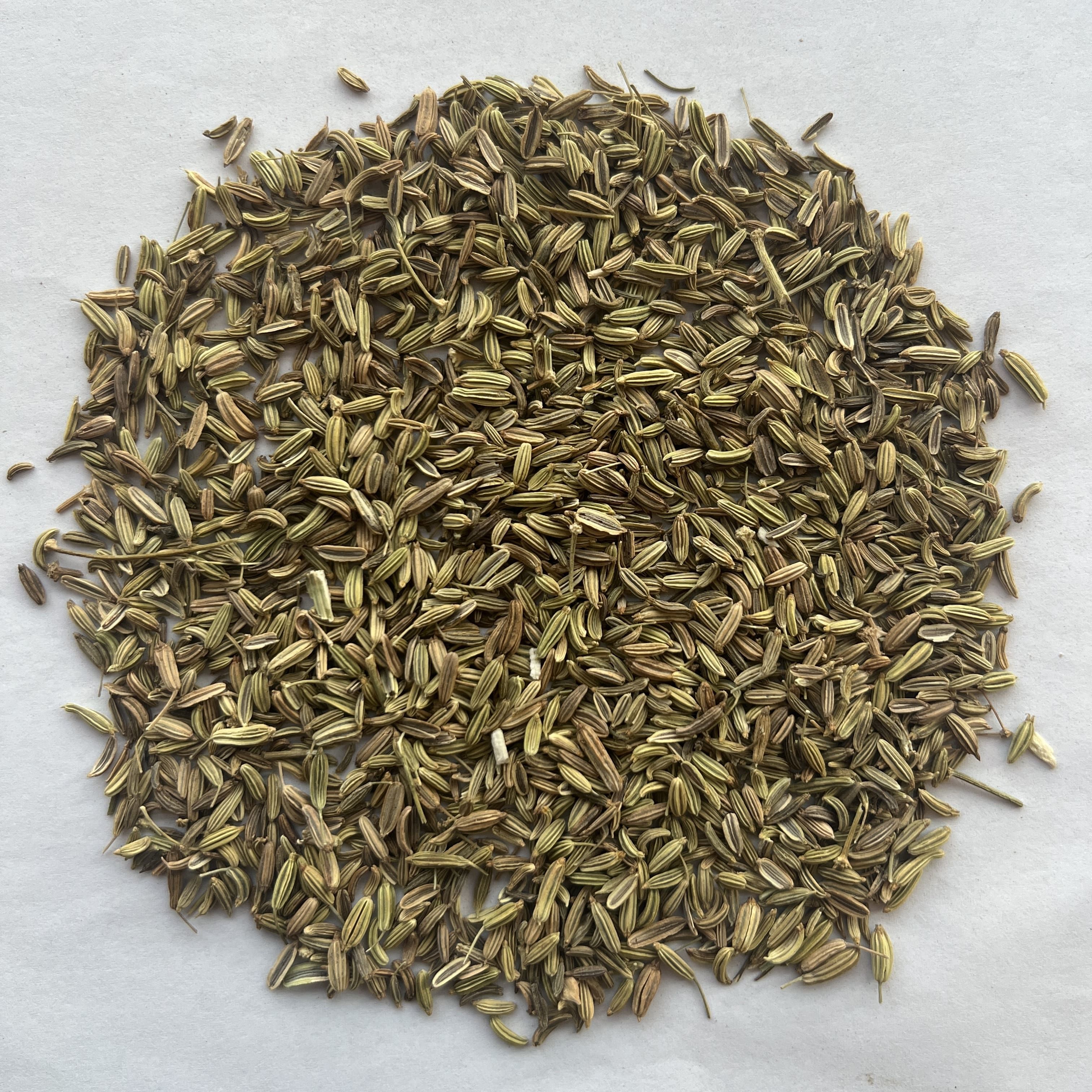 Fennel Seeds
