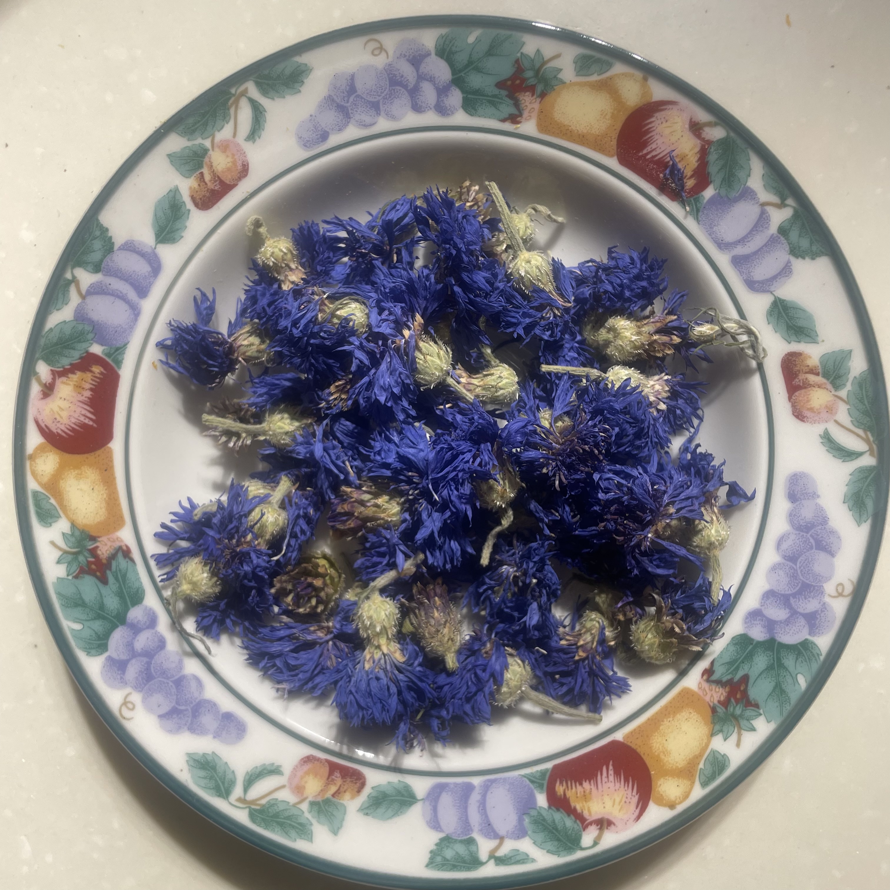 Cornflower Cornflower