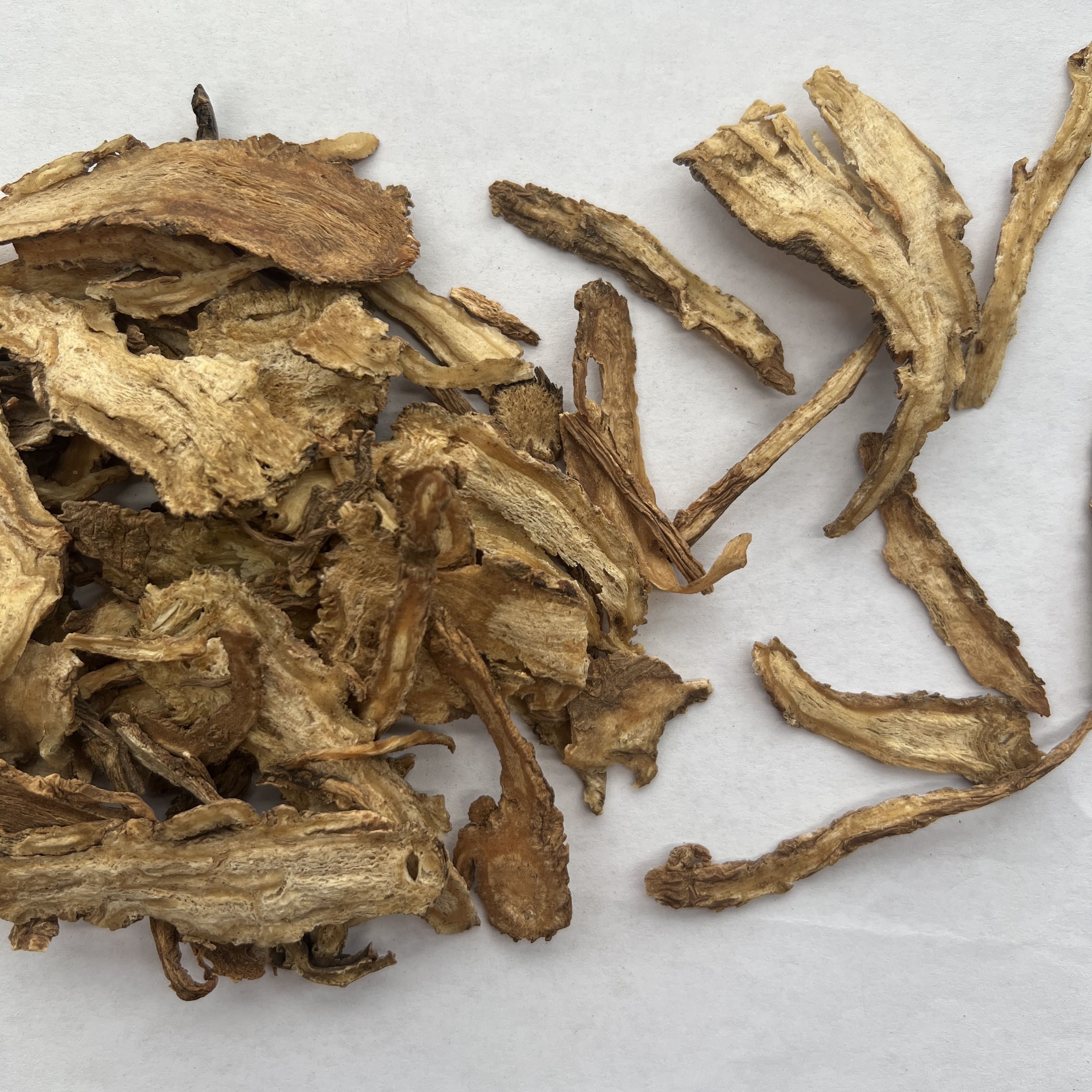 Angelica Sinensis
