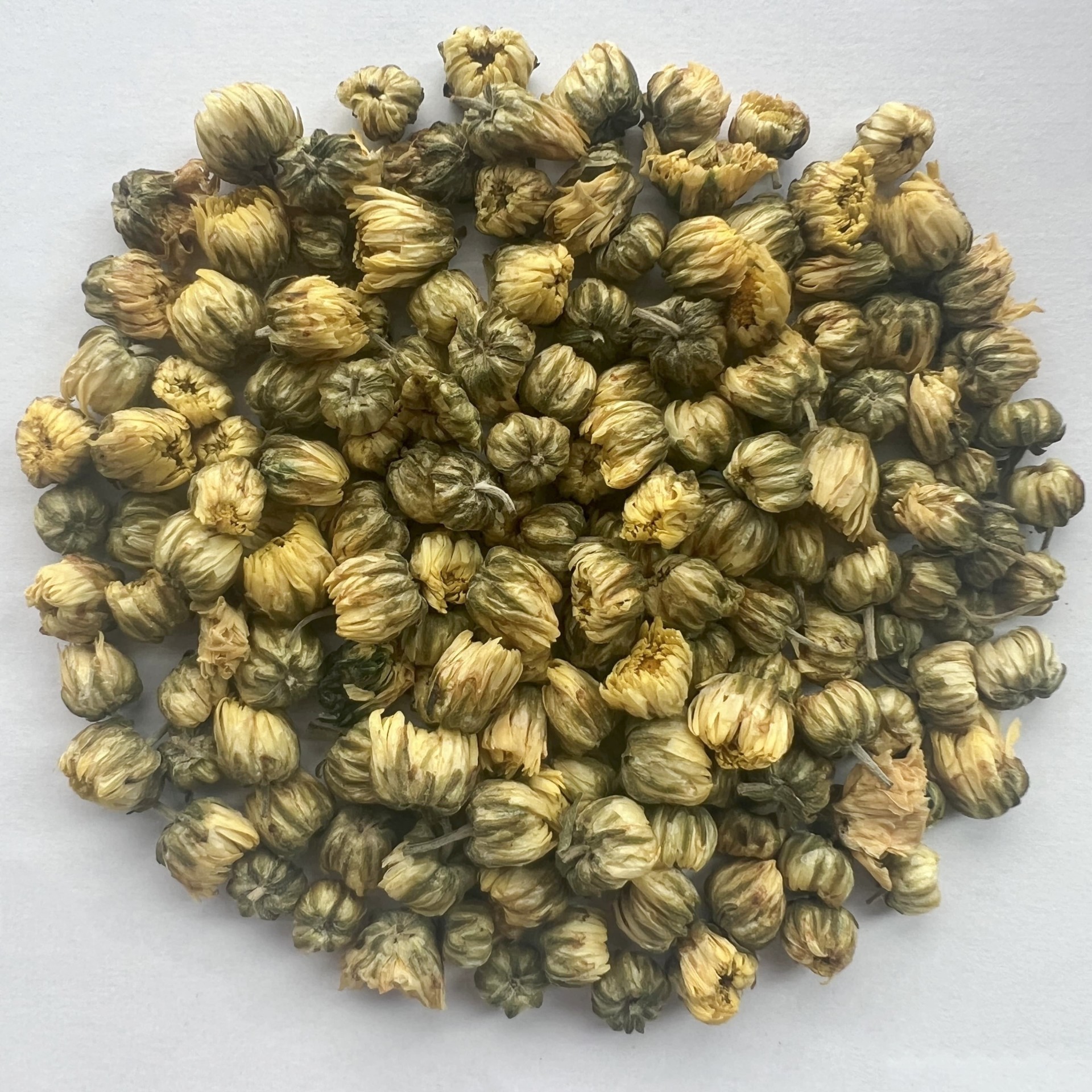 Fetal Chrysanthemum