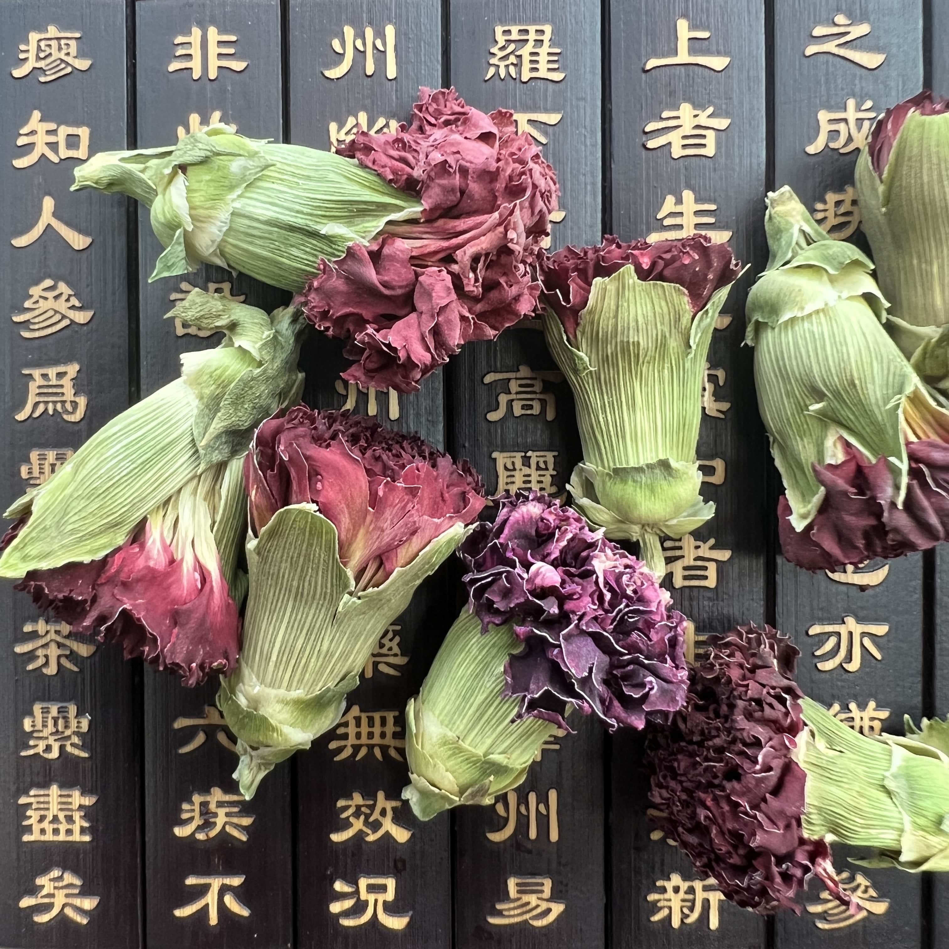 Carnation