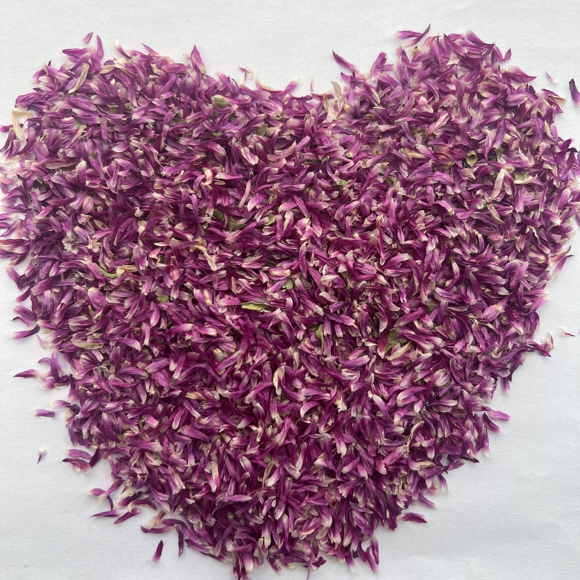 Gomphrena Globosa Petals (Purple/Pink)