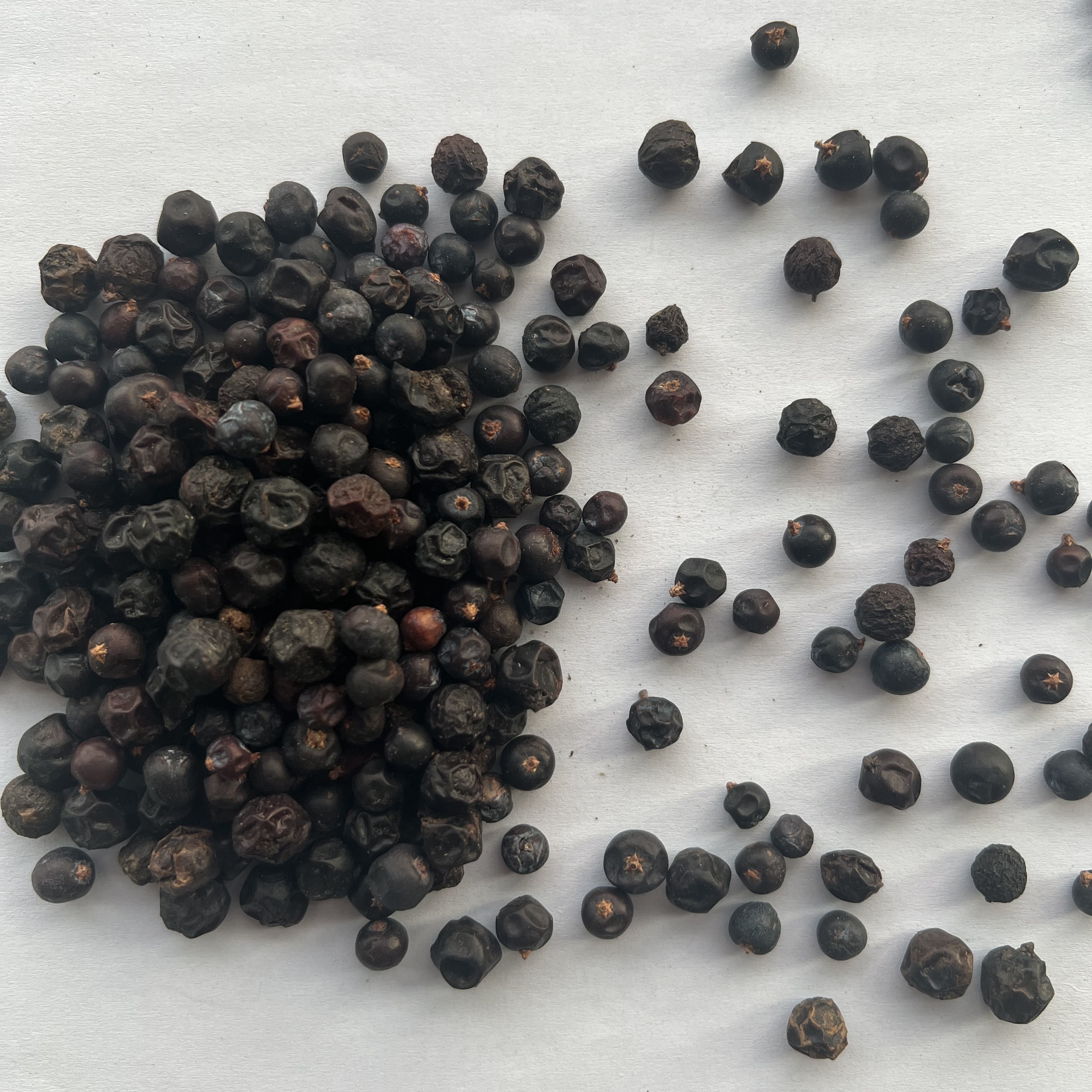 Juniper Berry