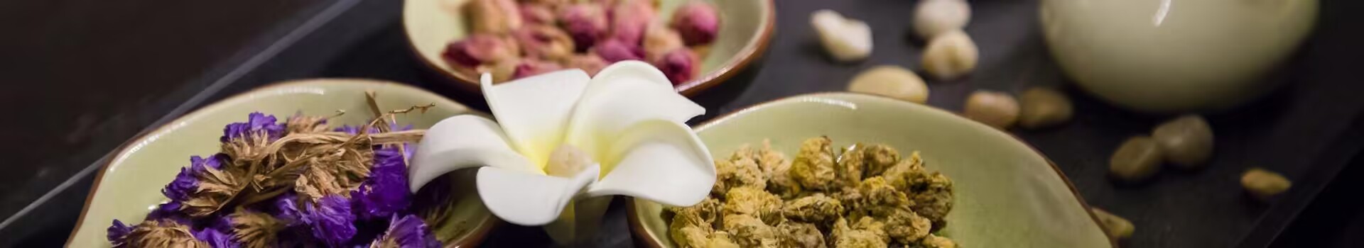 WELLNESS HERBAL