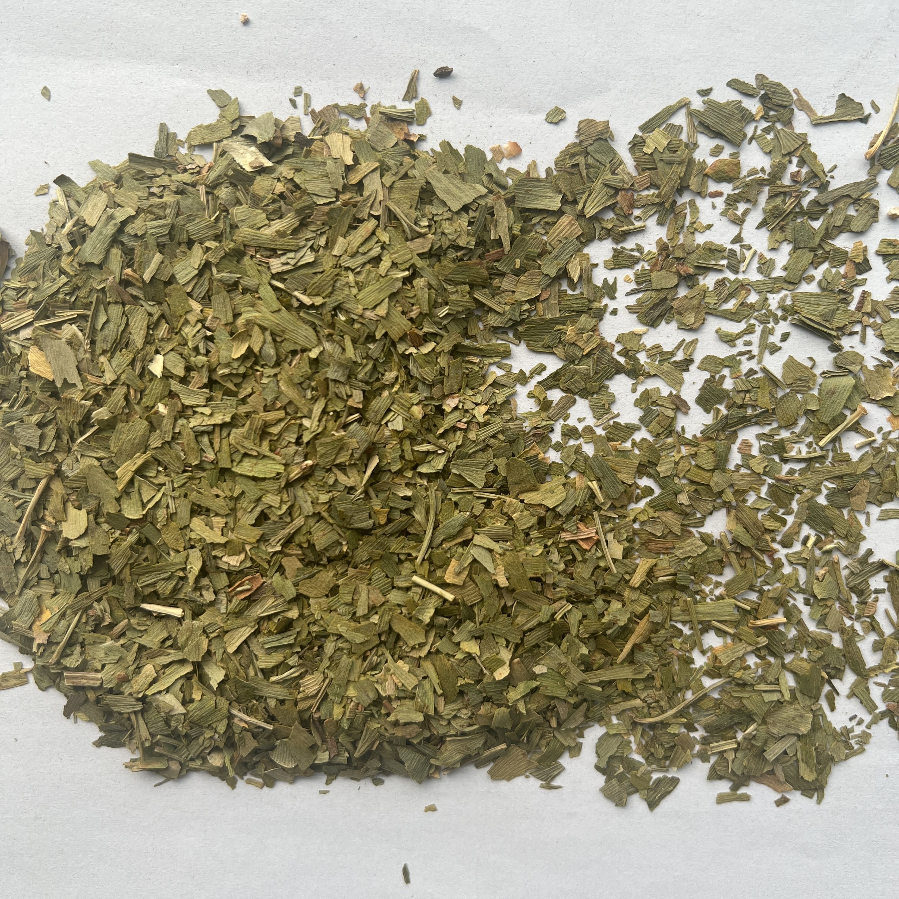 Ginkgo Biloba Leaf