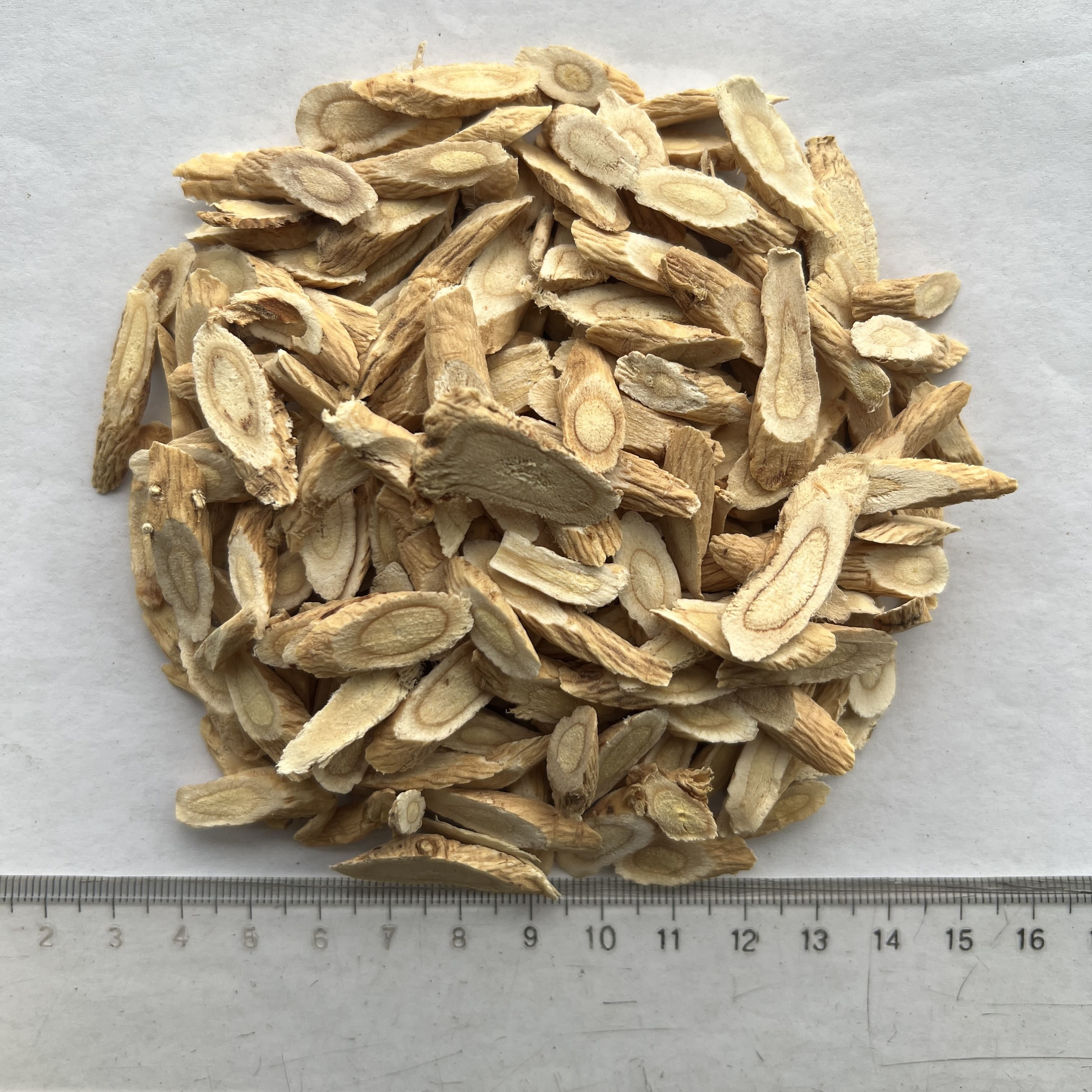 Astragalus