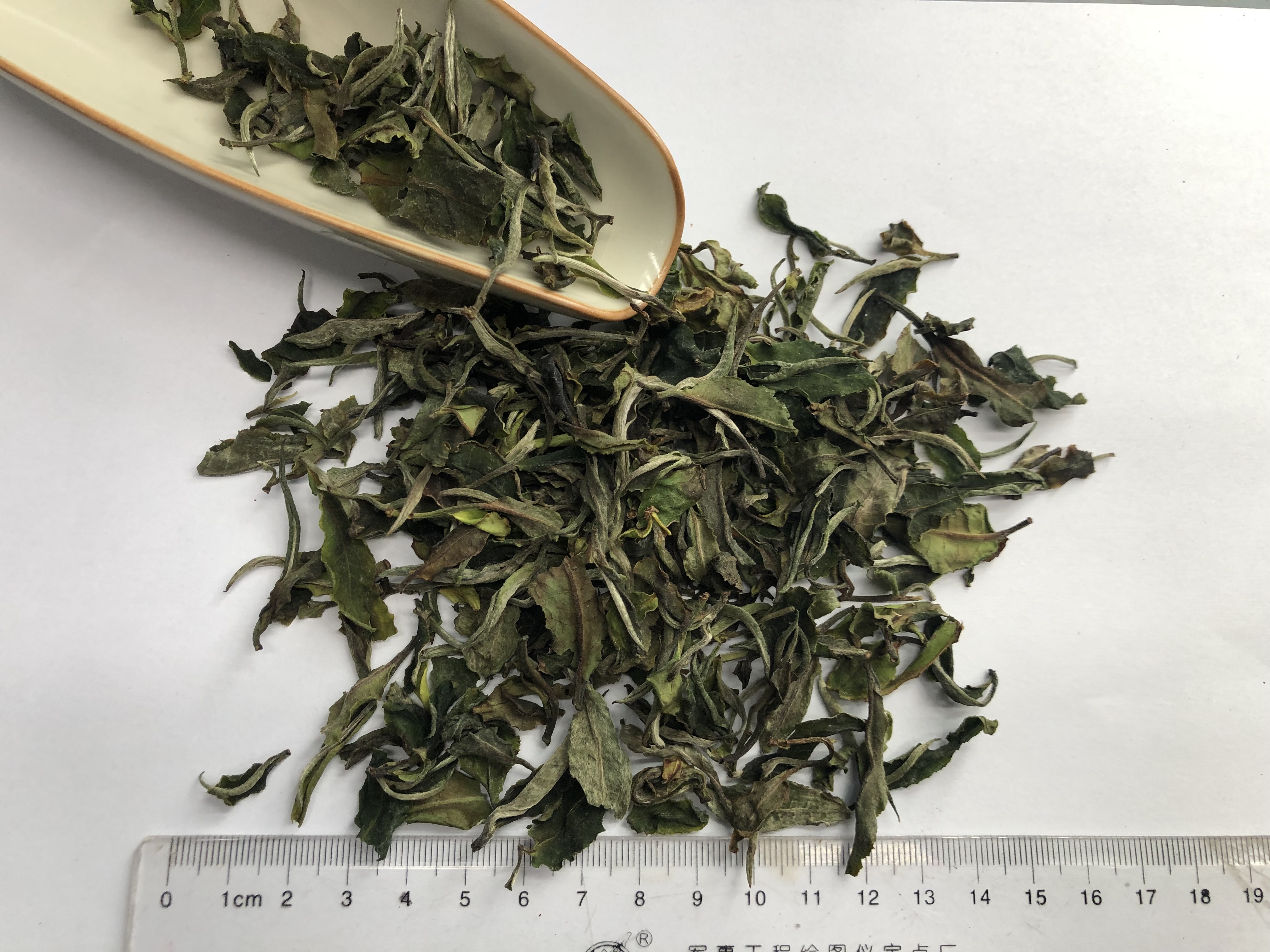 Organic White Peony / Bai Mu Dan