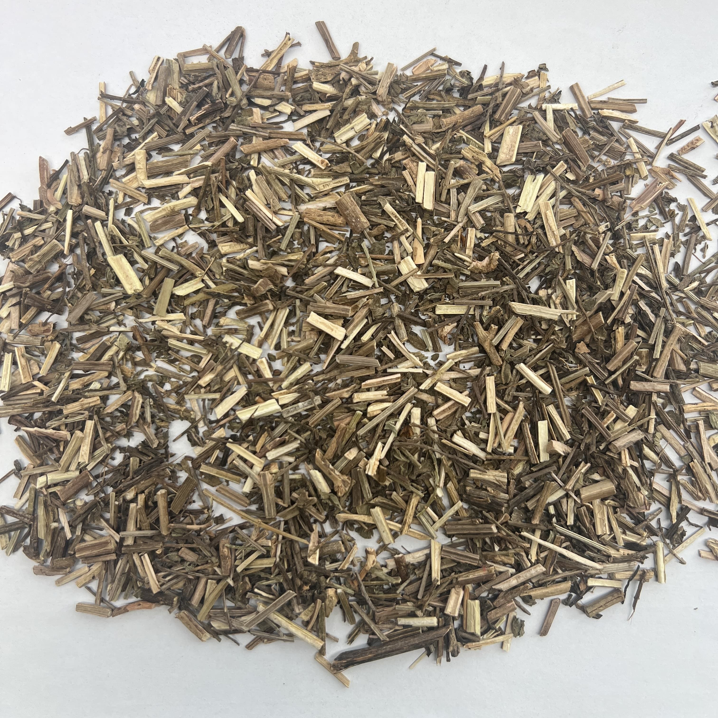 Verbena