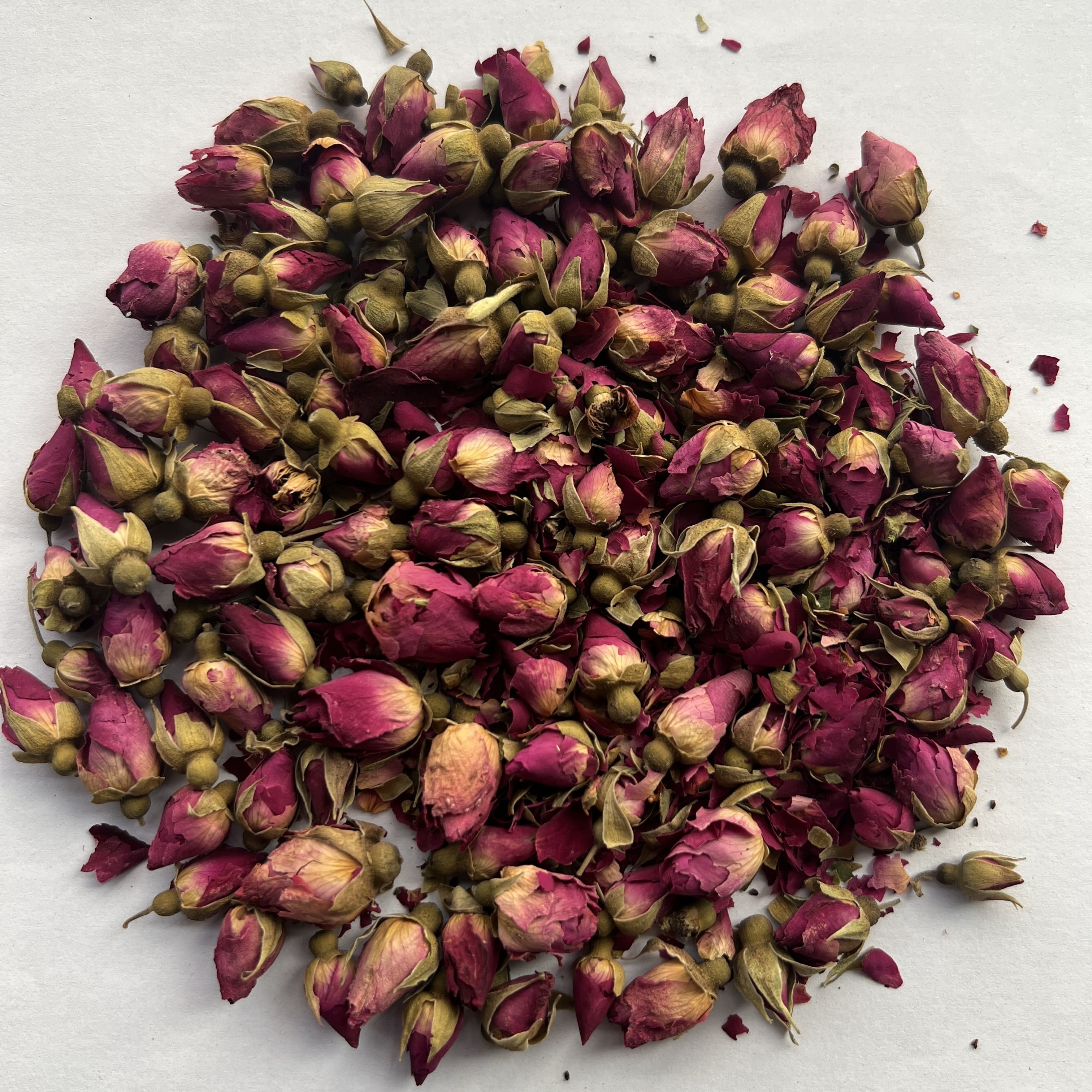 Shandong Rose