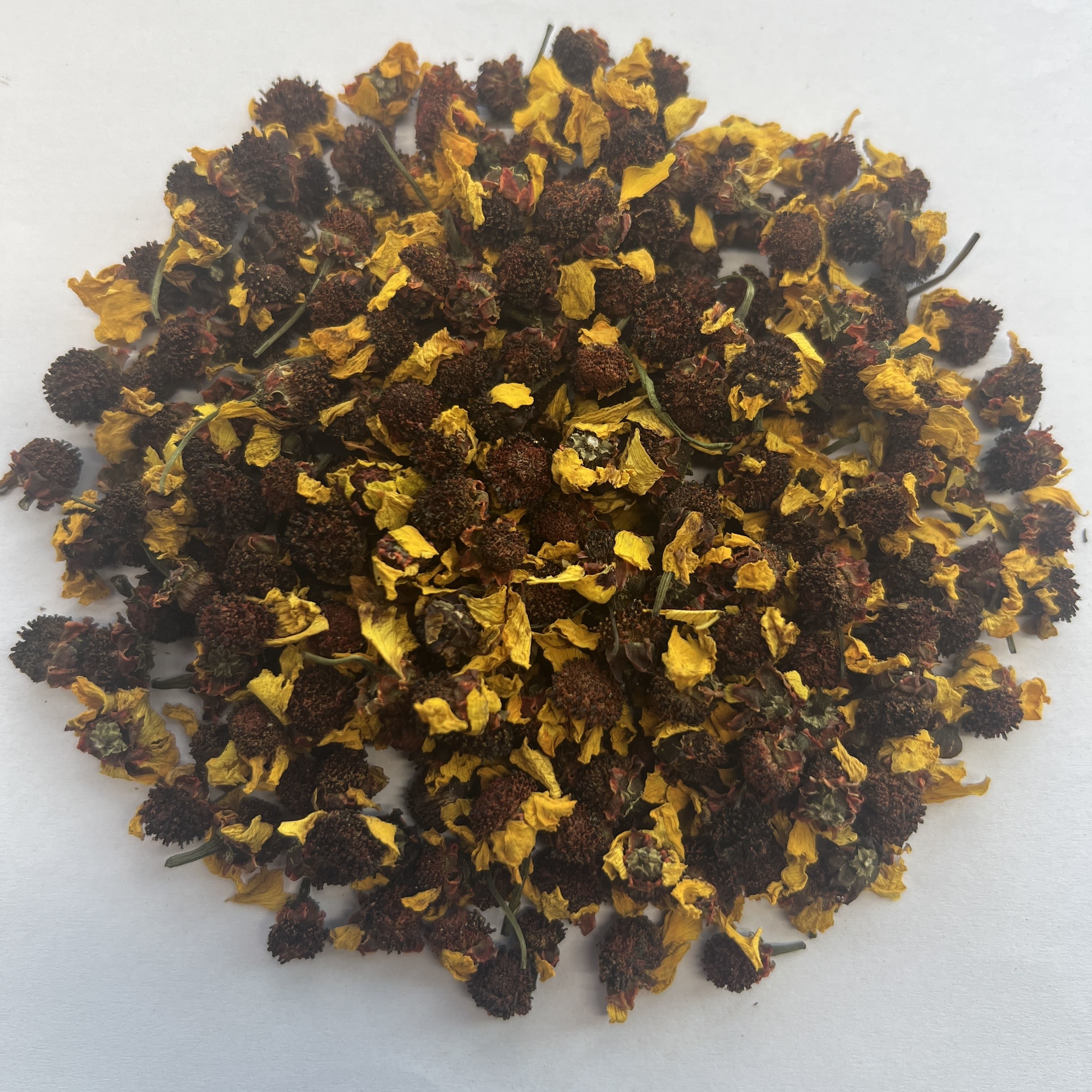 Snow Chrysanthemum