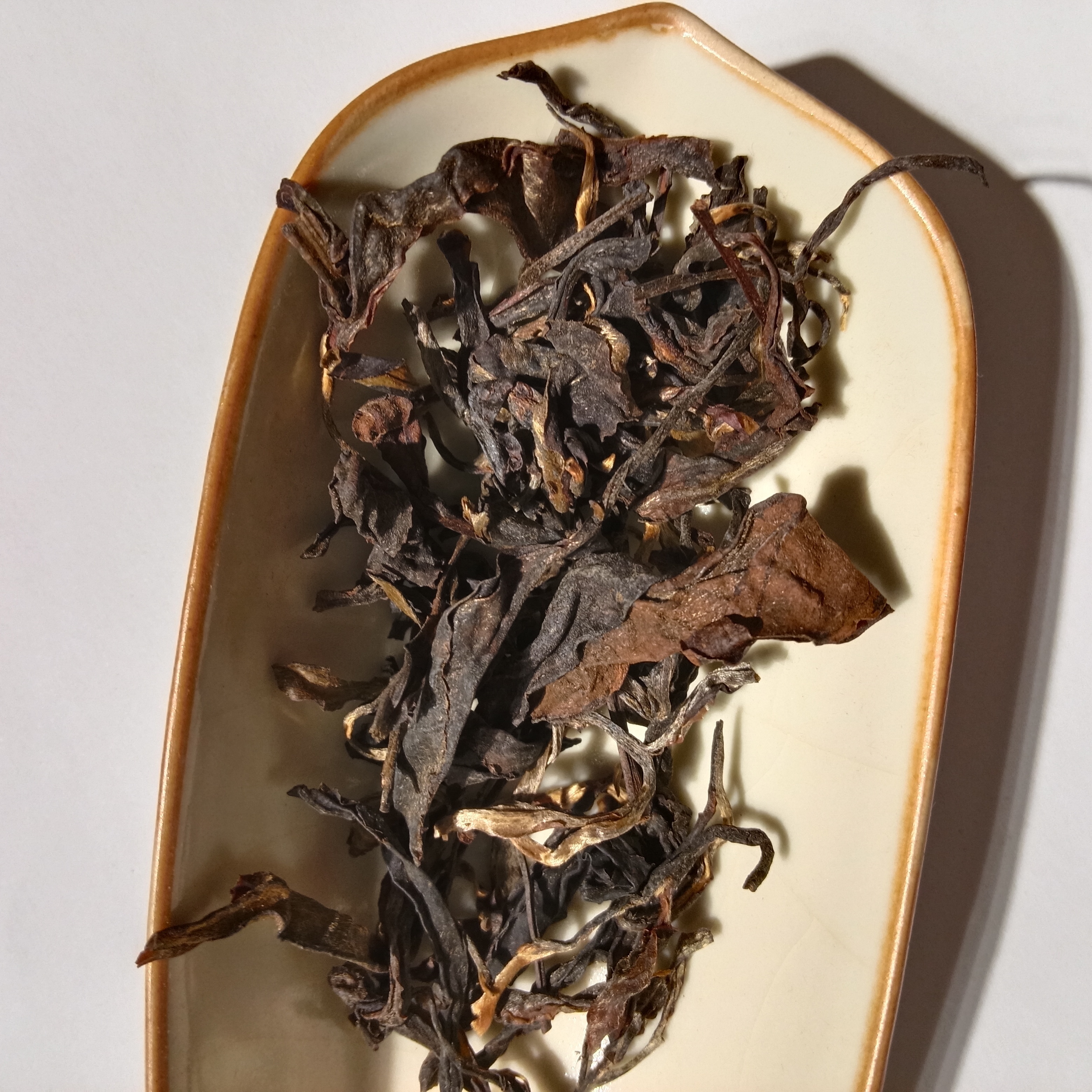 GABA Dong Fang Mei Ren