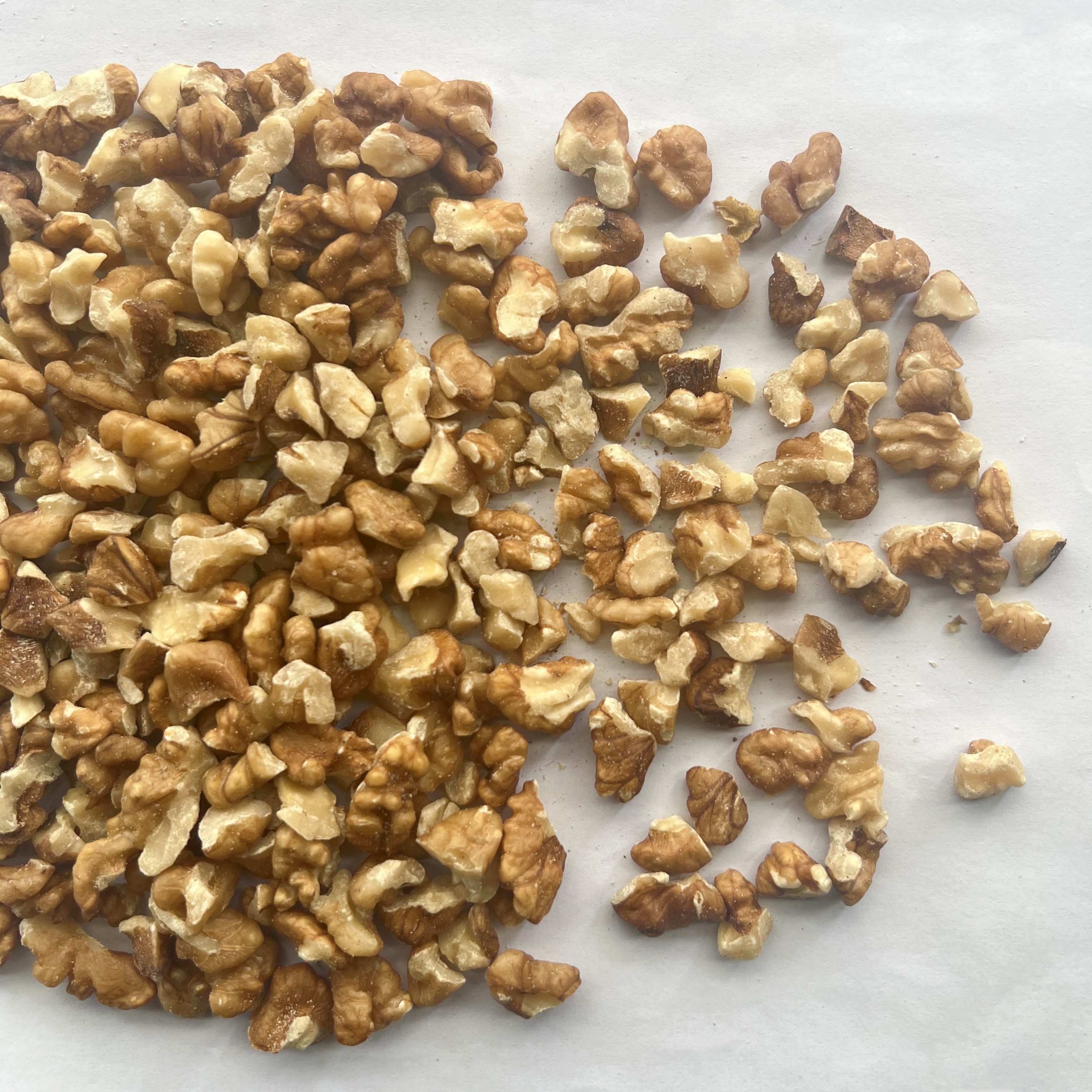 Walnut